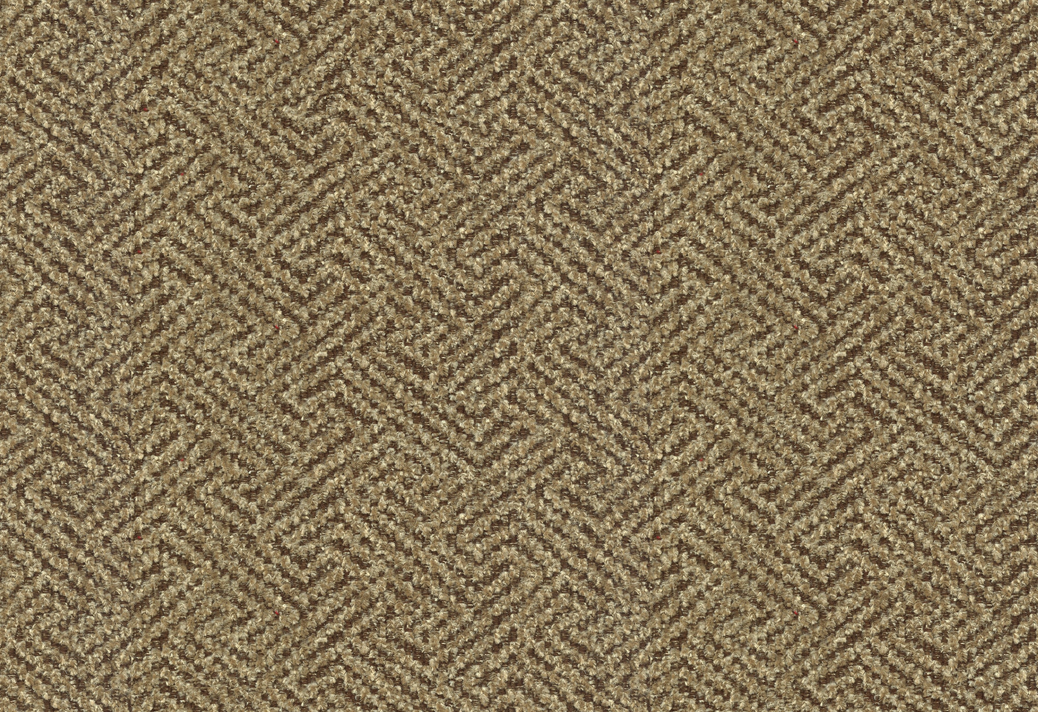   8168