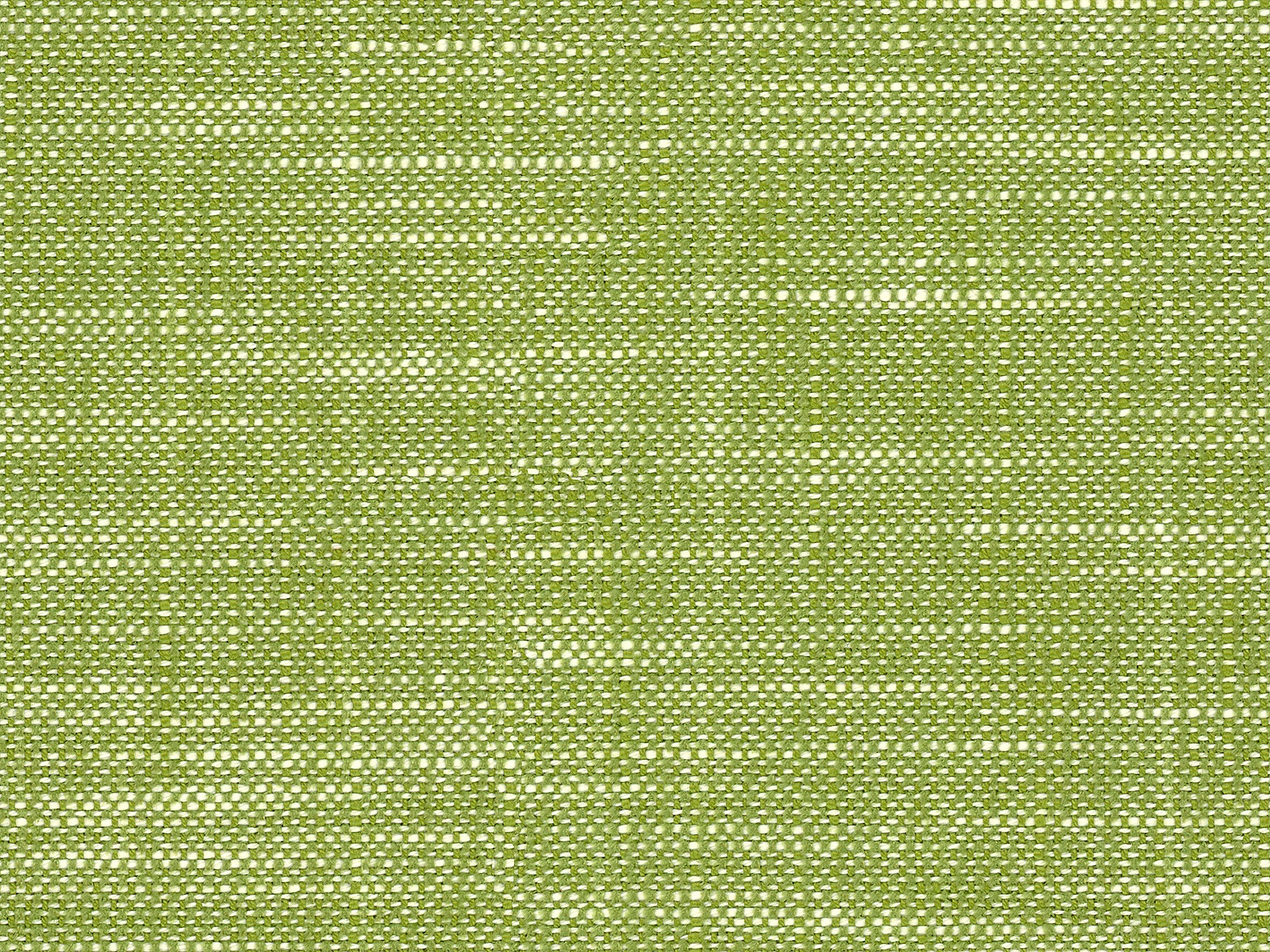   JANE LEAF