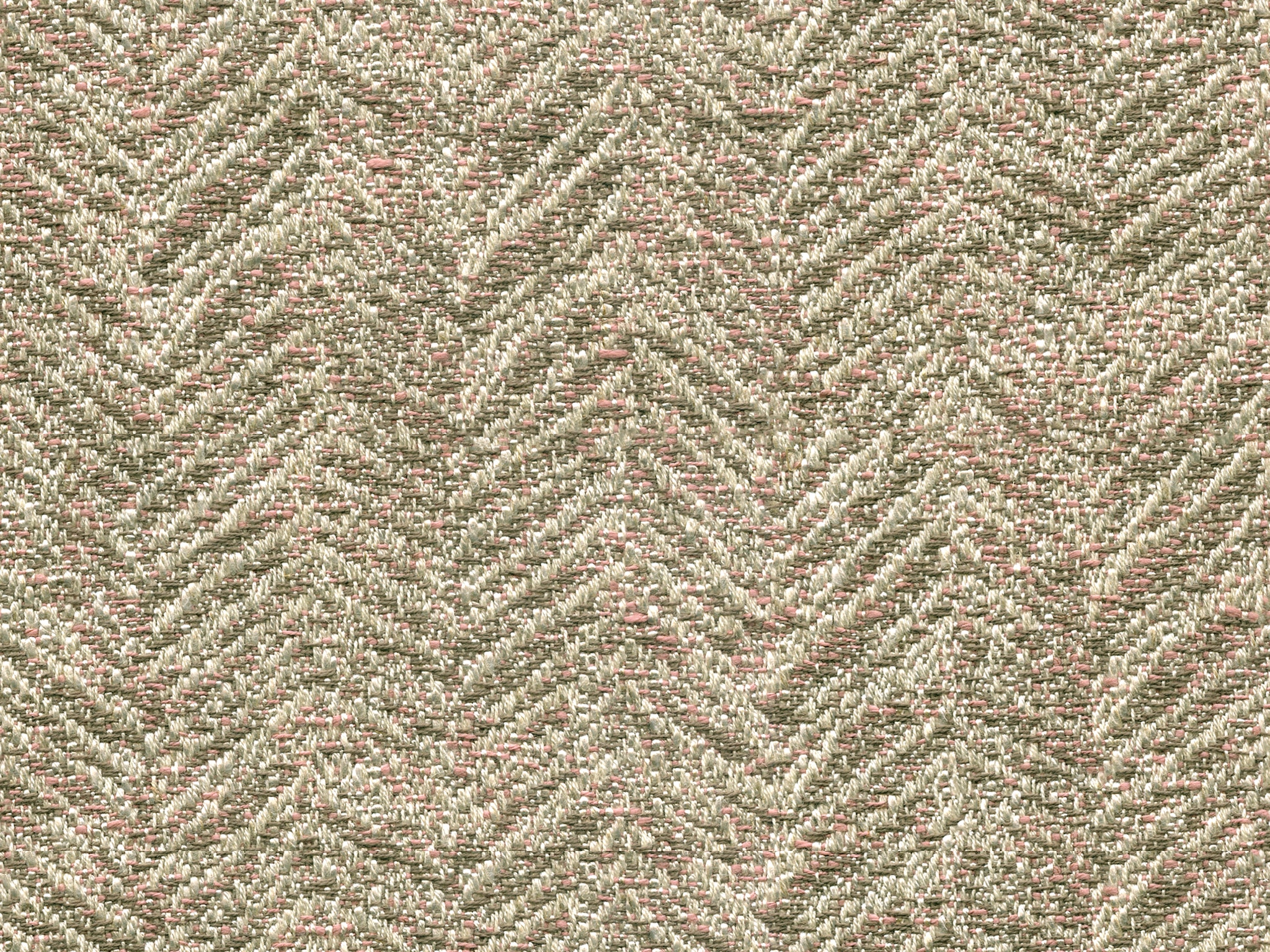   SHELTON BLUSH