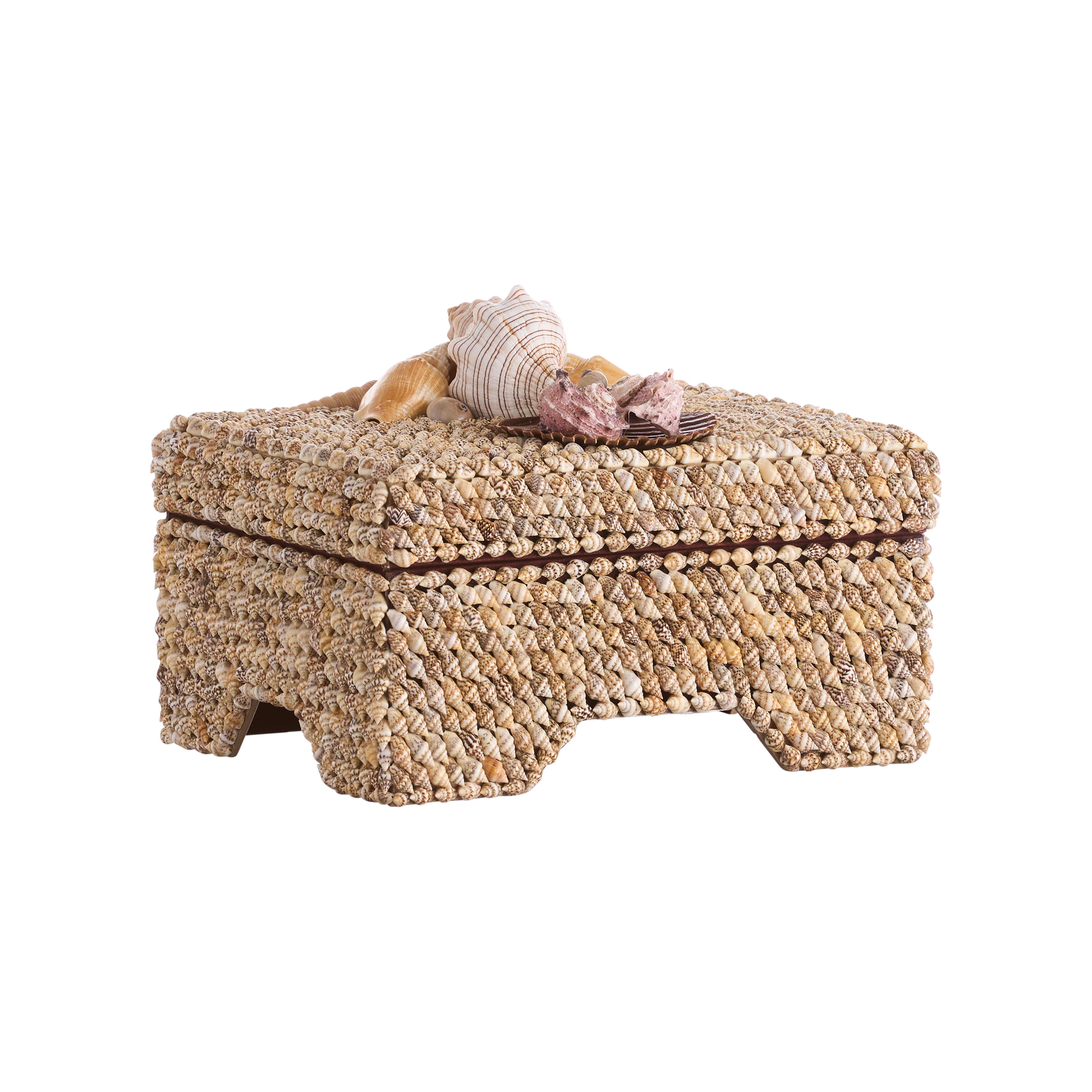  Island Shell Box 