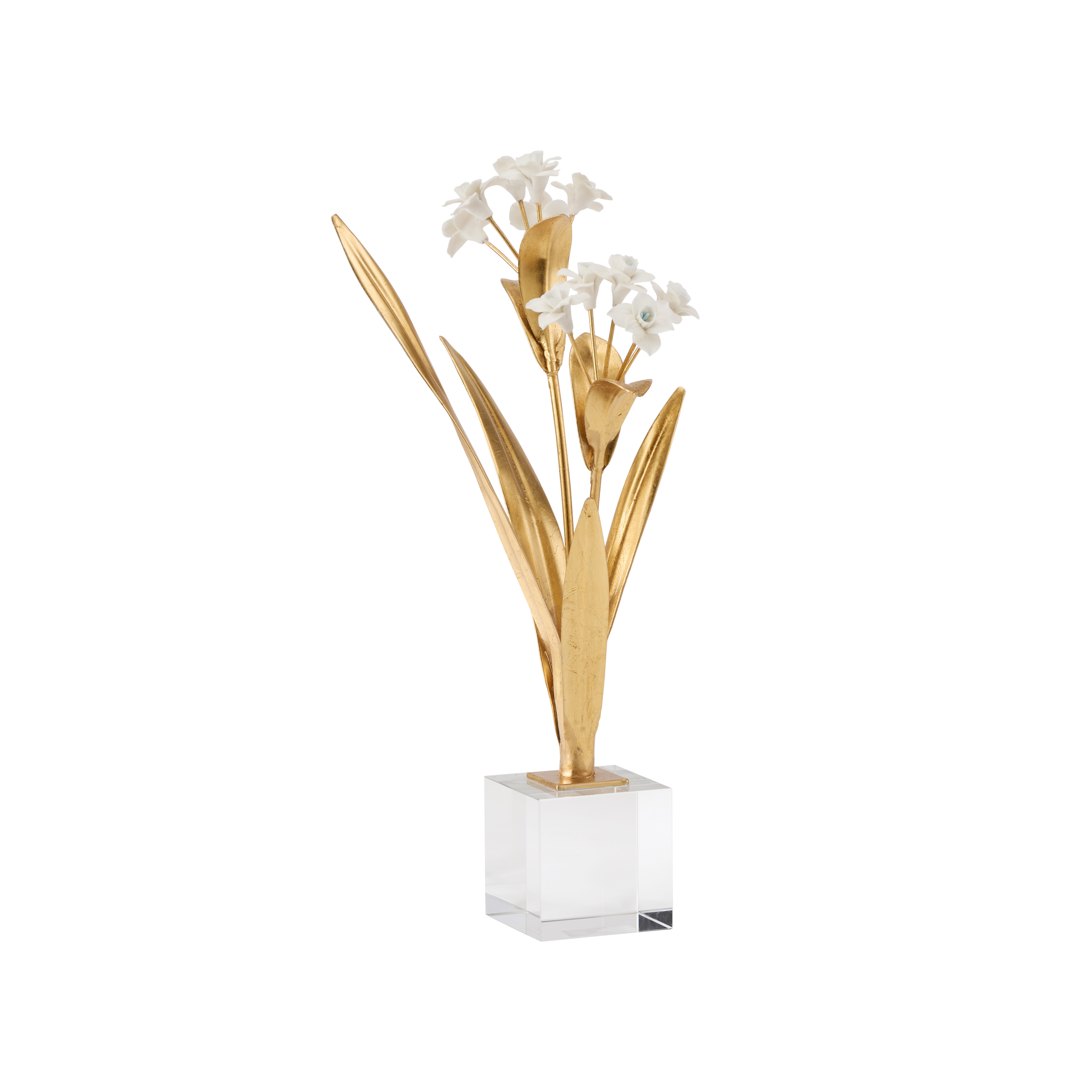 CHELSEA HOUSE Paperwhite Narcissus 370504