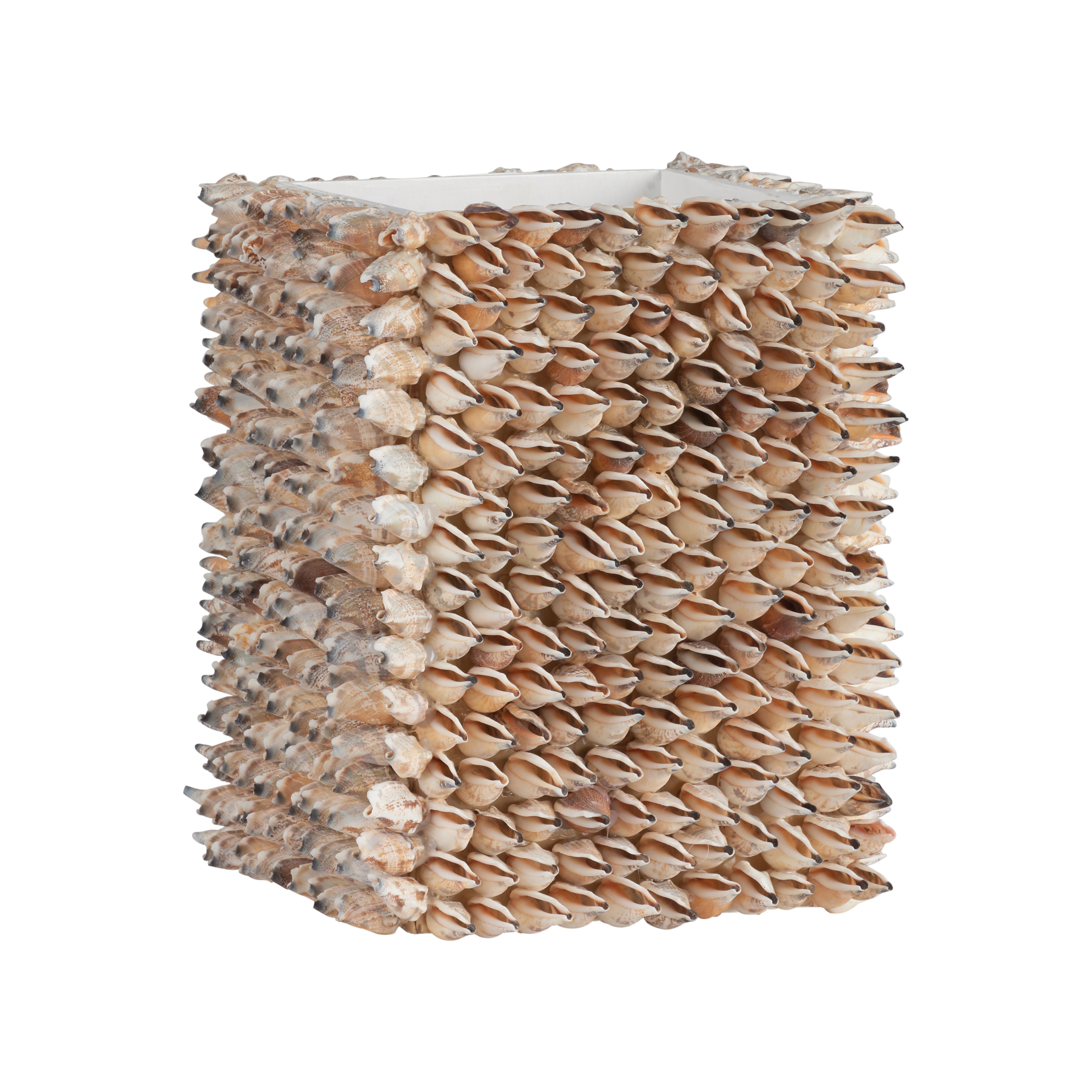  Shell Planter 