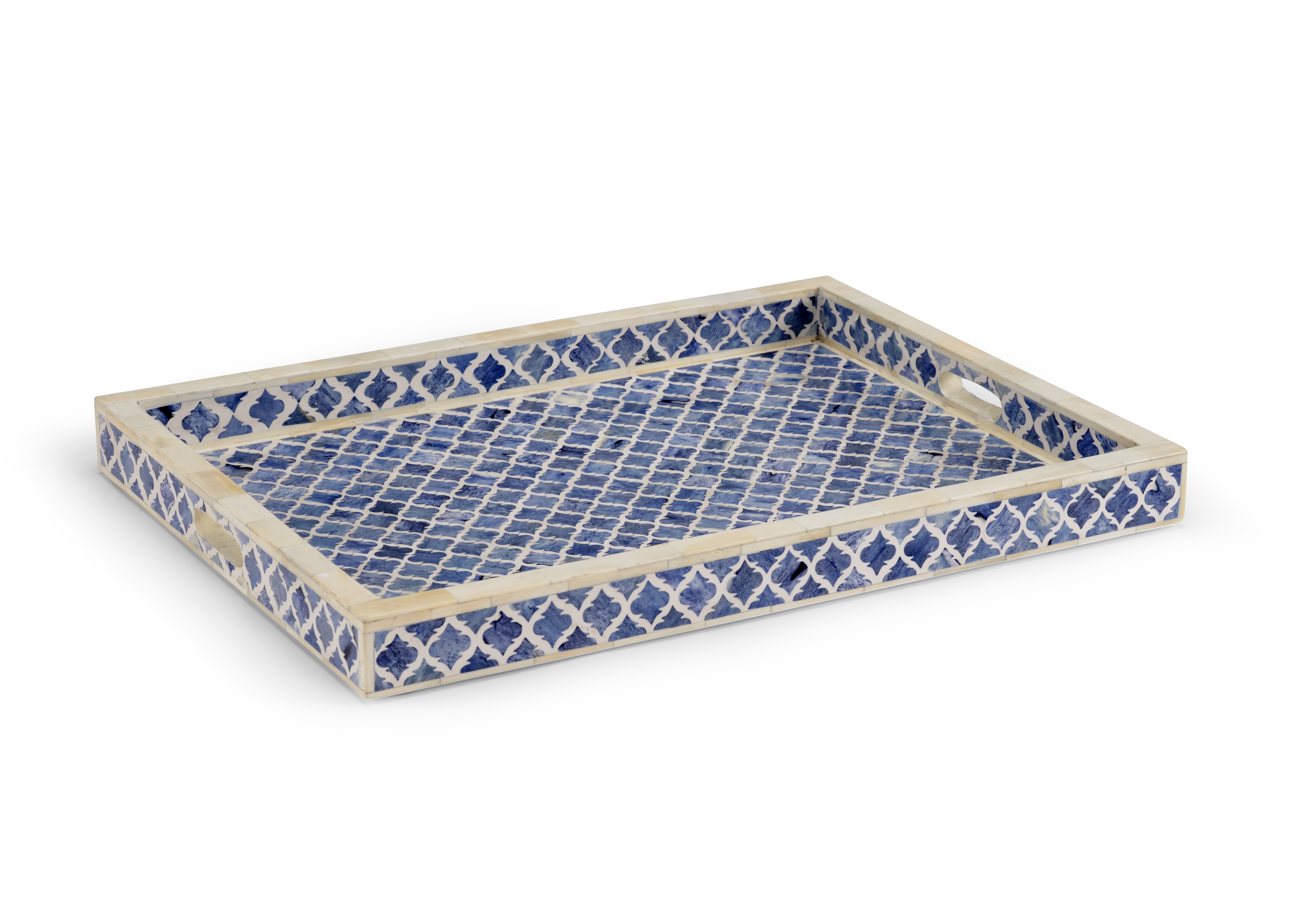  Newton Tray - Blue 