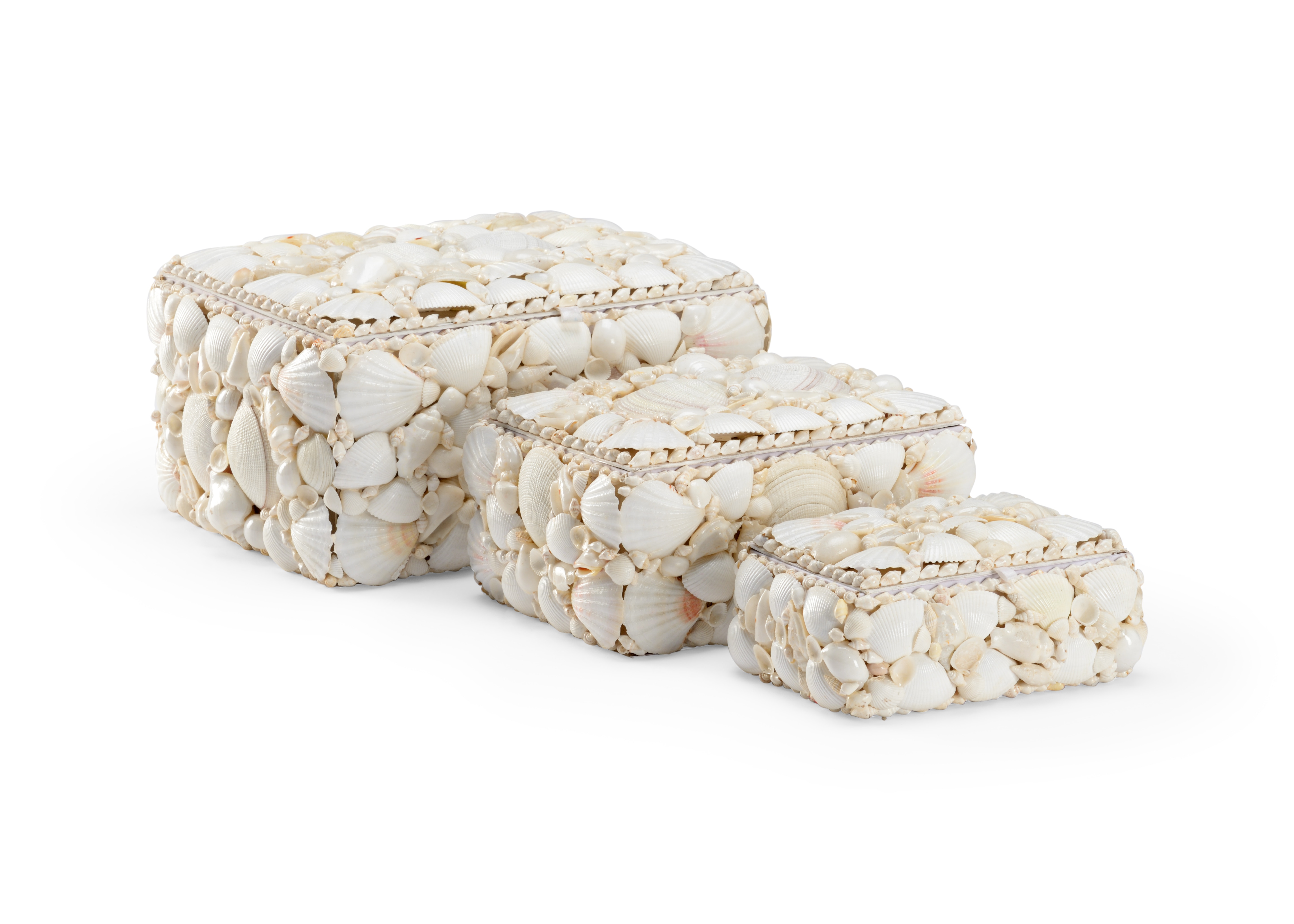  White Shell Boxes (S3) 