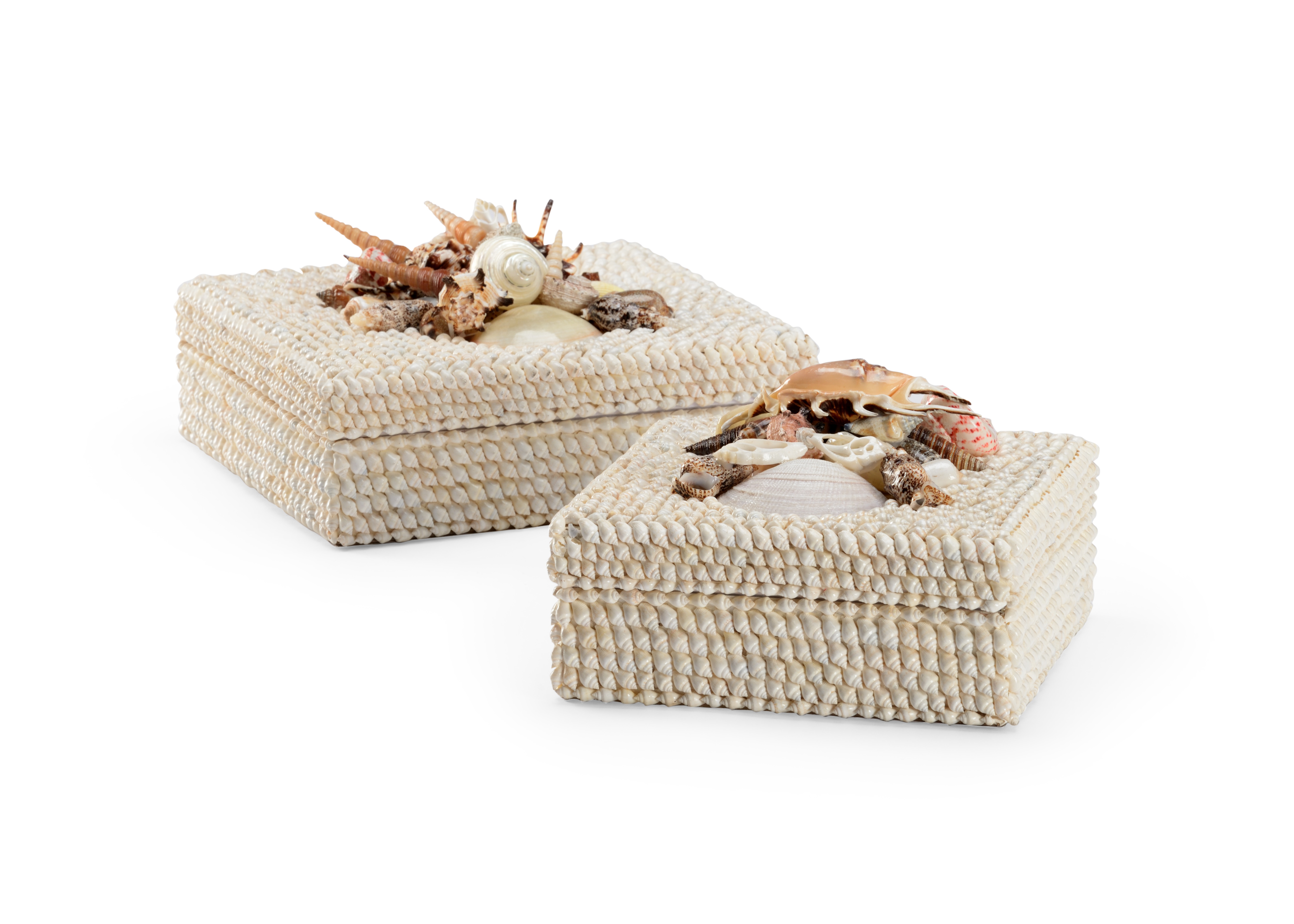  White Shell Boxes (S2) 