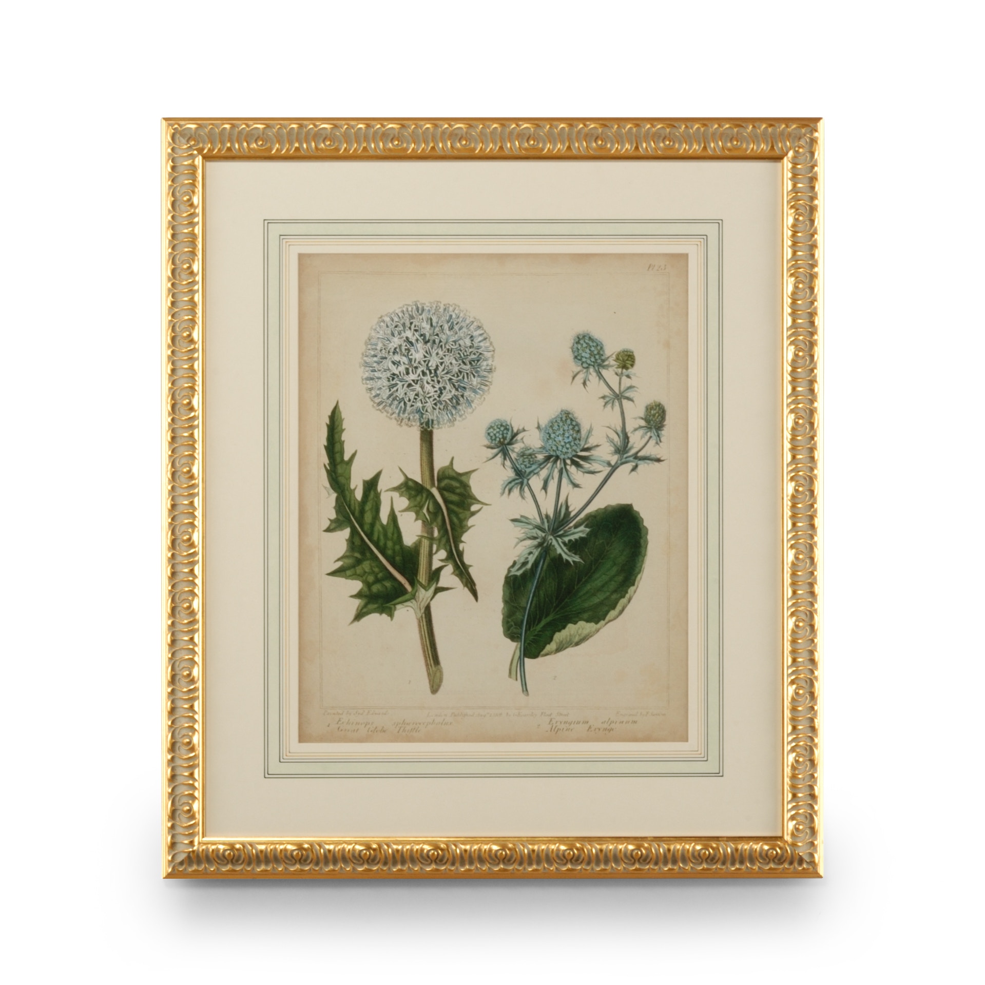 Cottage Florals III 386238