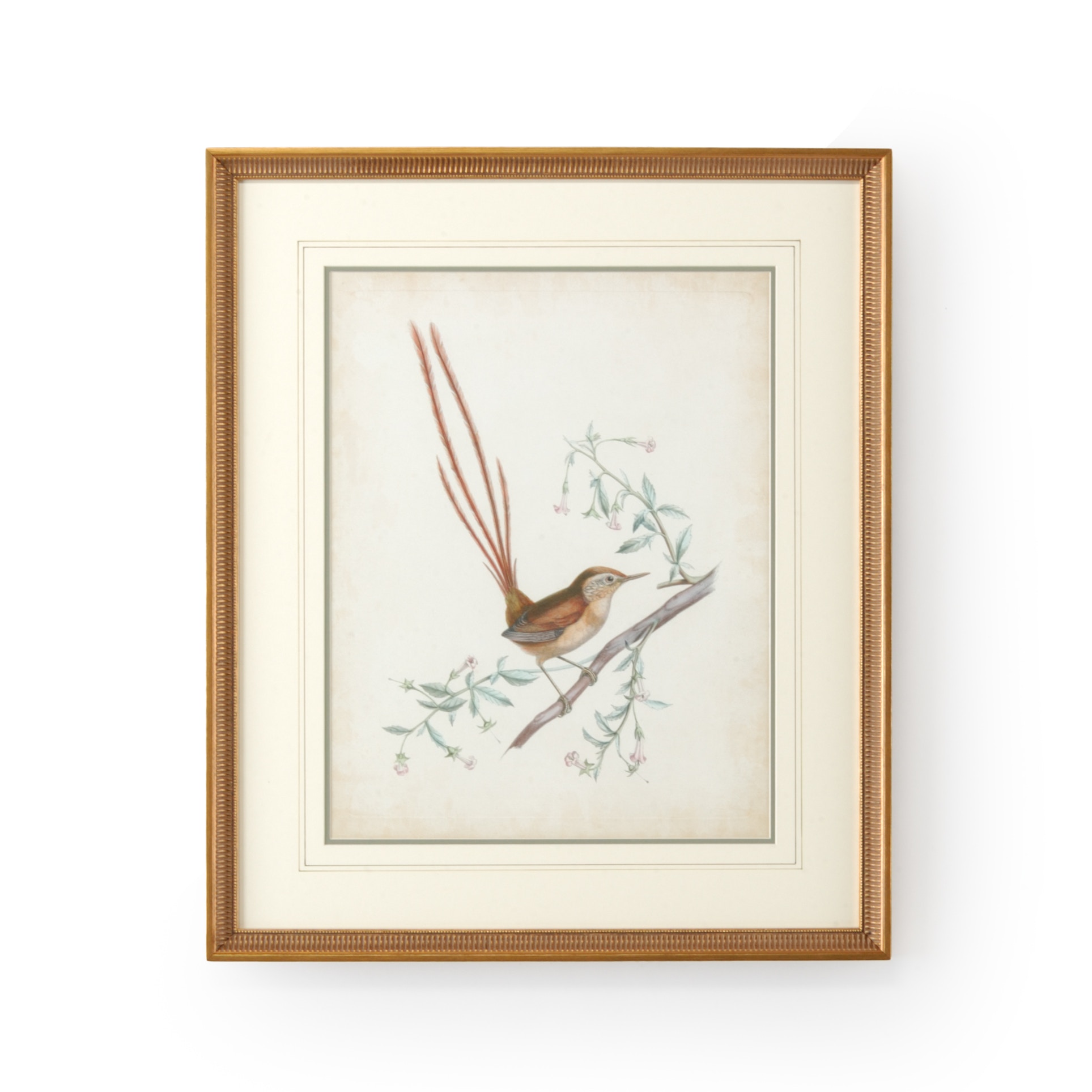 CHELSEA HOUSE Delicate Birds I 386342