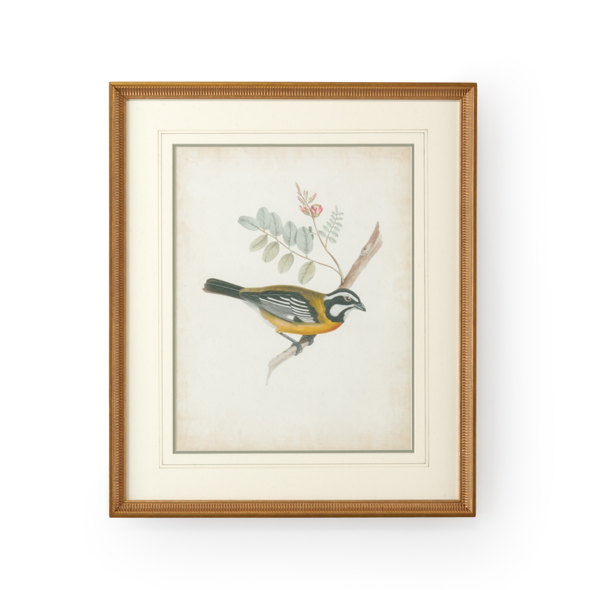CHELSEA HOUSE Delicate Birds V 386346