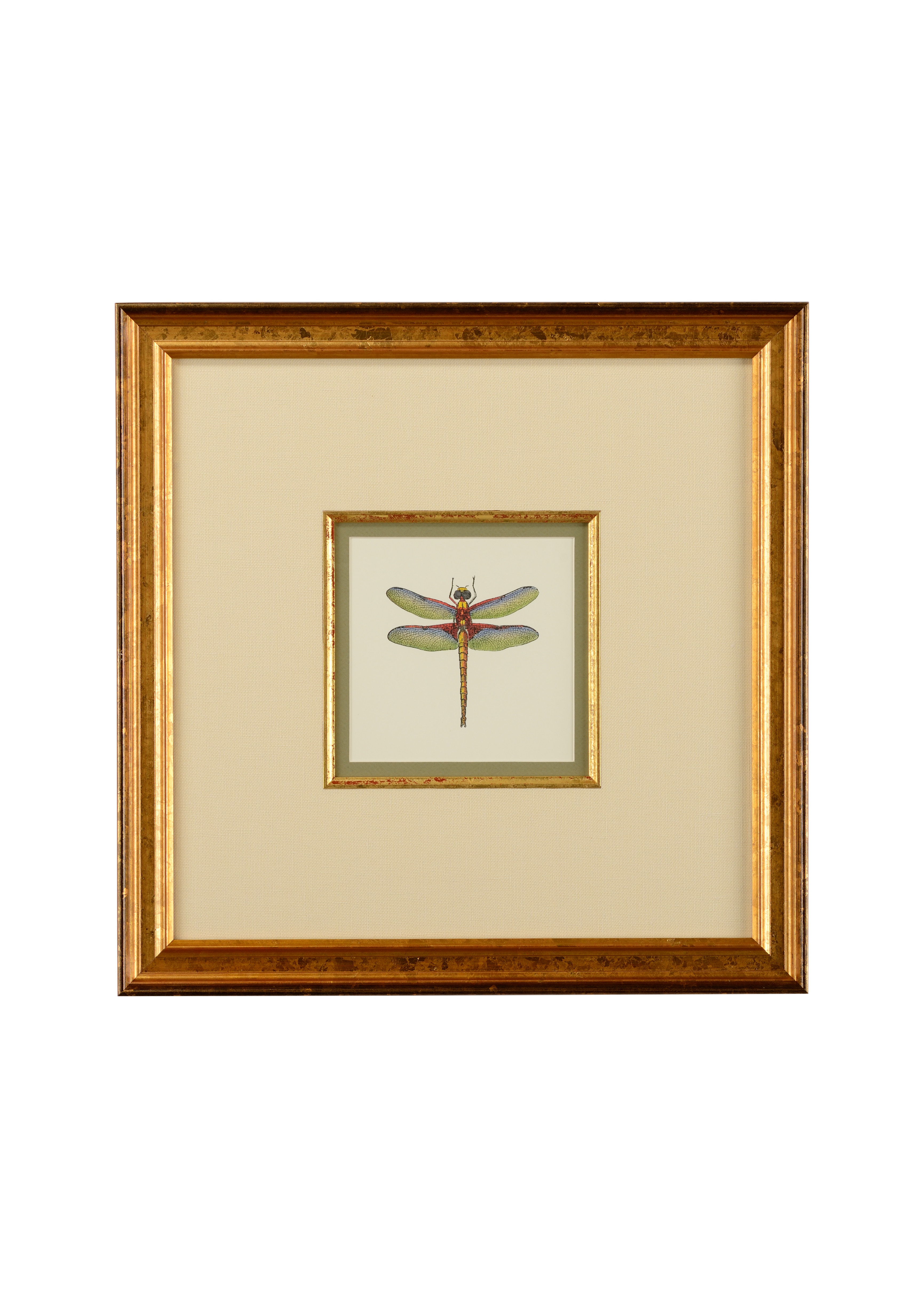 CHELSEA HOUSE Miniature Dragonfly IV 386611