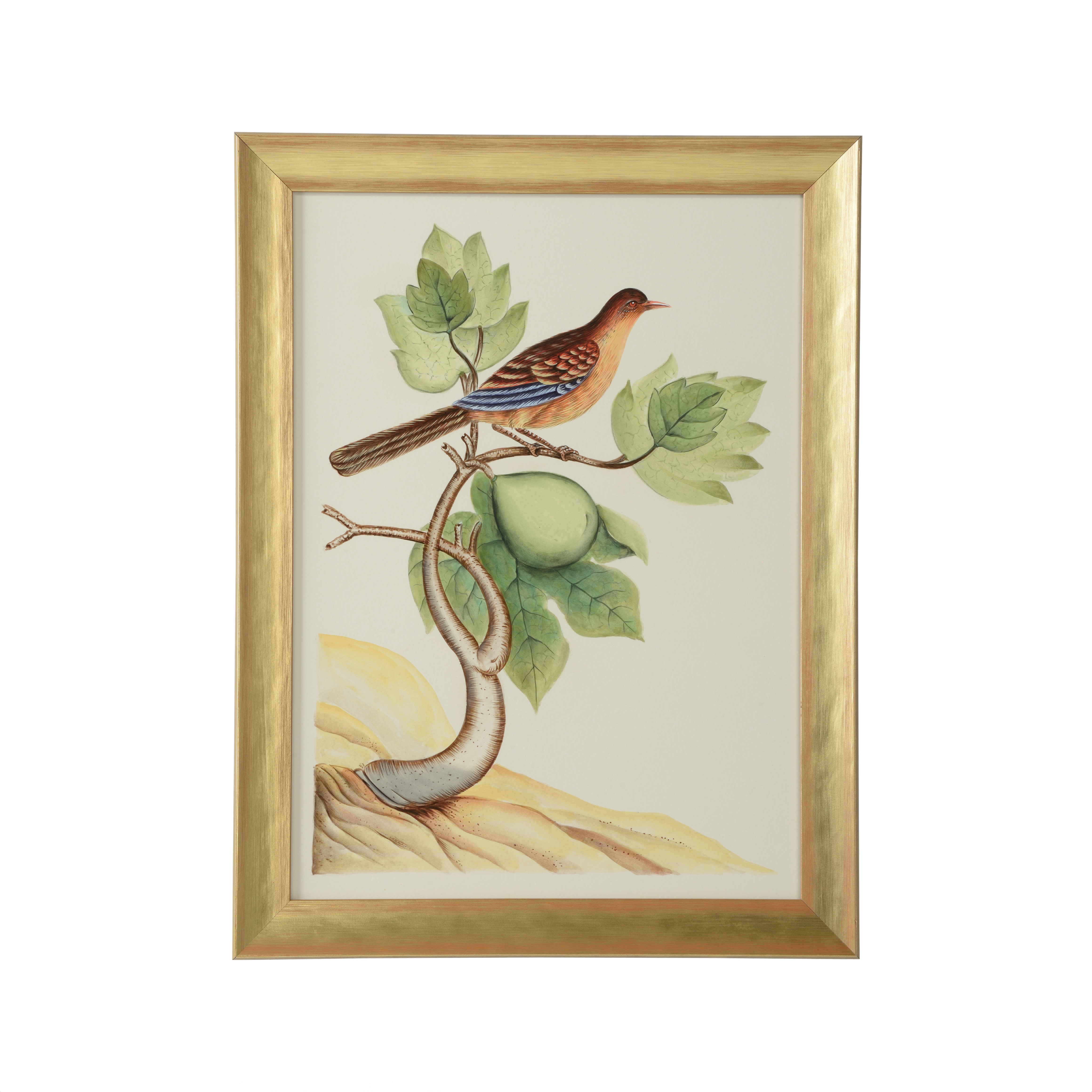 CHELSEA HOUSE Watercolor Birds A 387215