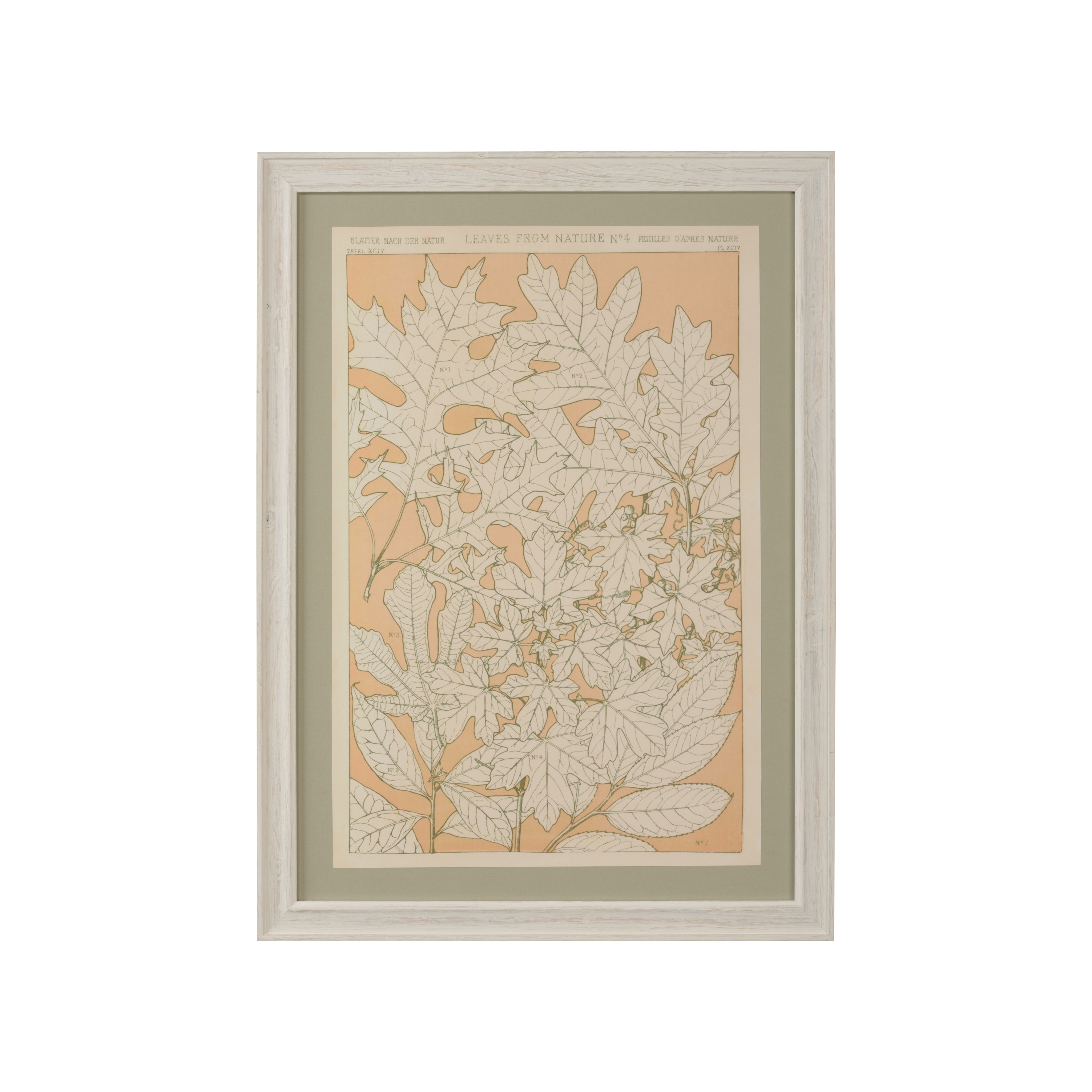 CHELSEA HOUSE Leaves From Nature No.4 387243