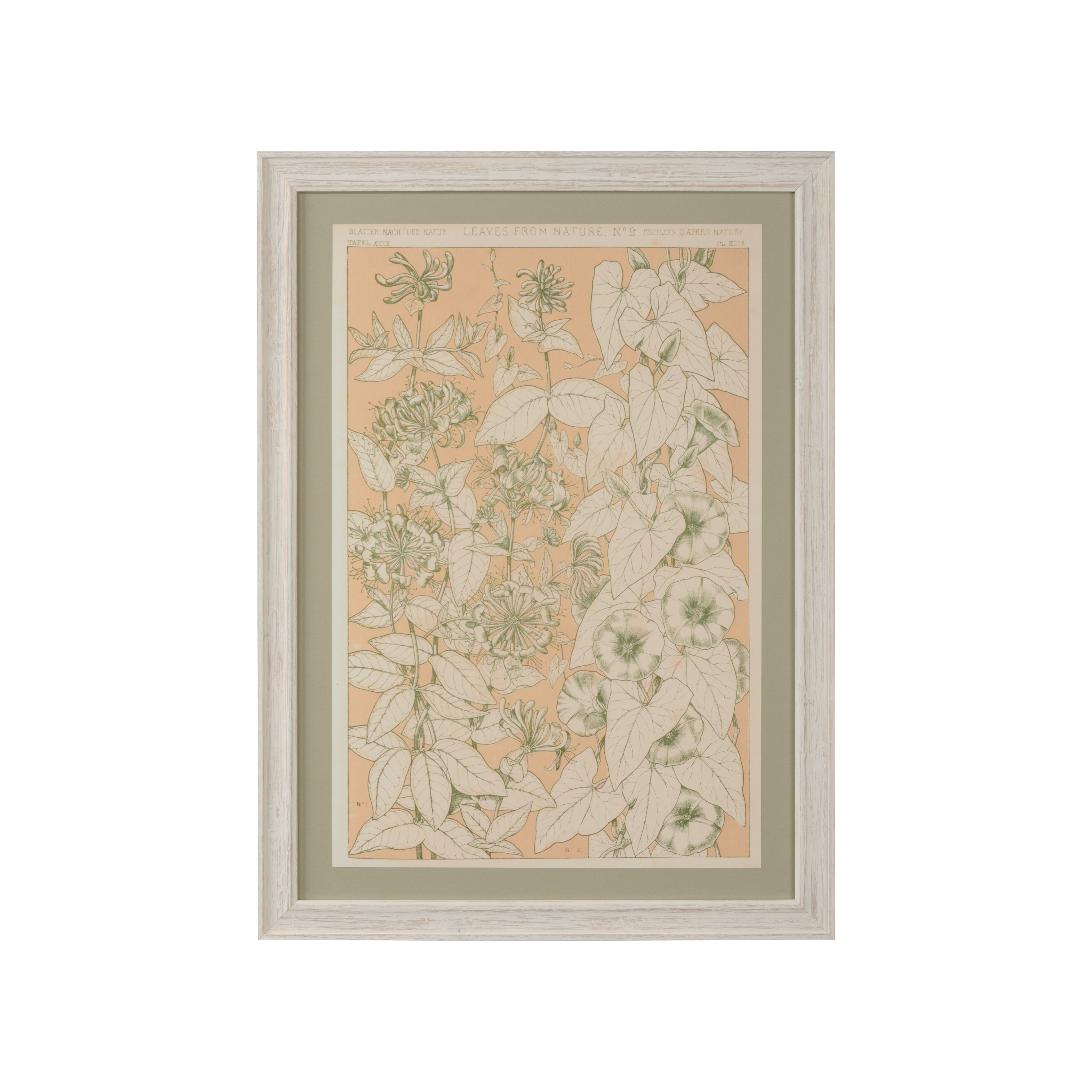 CHELSEA HOUSE Leaves From Nature No.9 387244