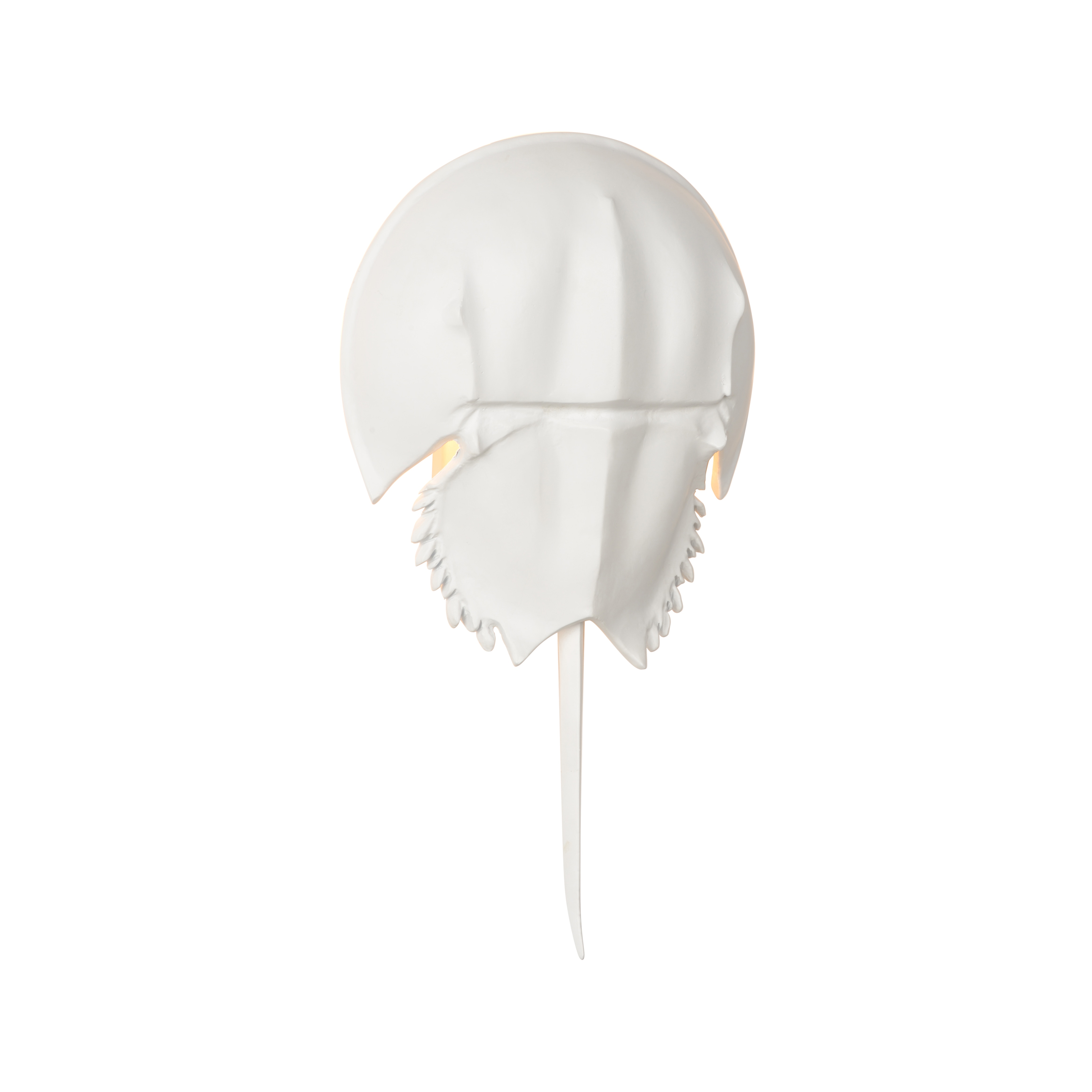CHELSEA HOUSE Horseshoe Crab Sconce - White 70216