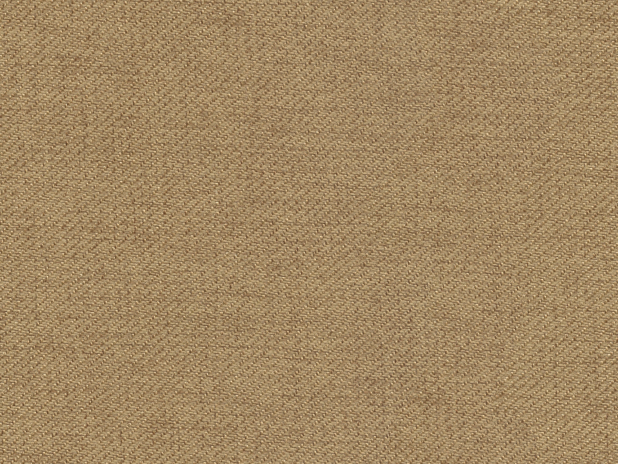 Bassett CAMEL 