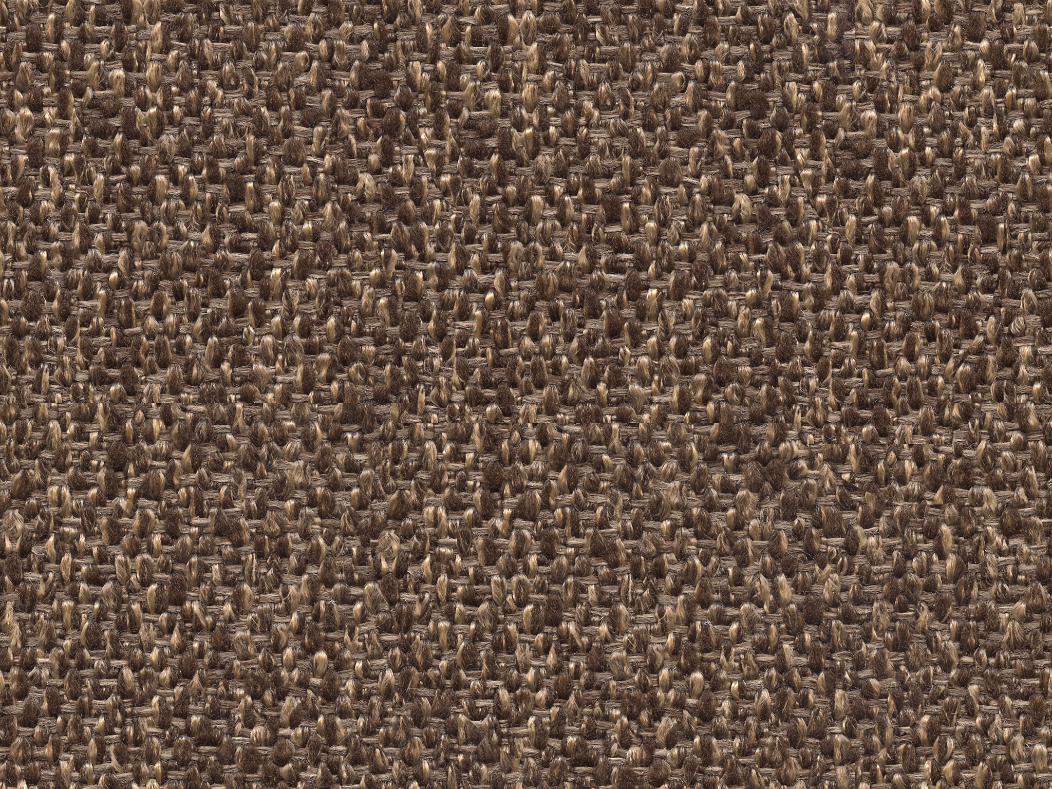 Bassett SABLE            CUT&SEWN 