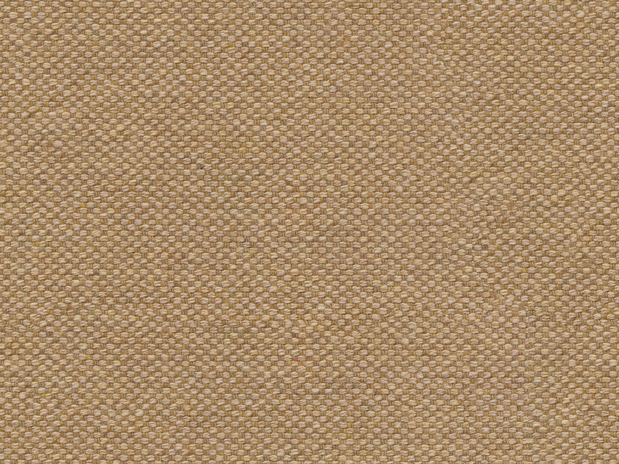 Bassett CHAMOIS 
