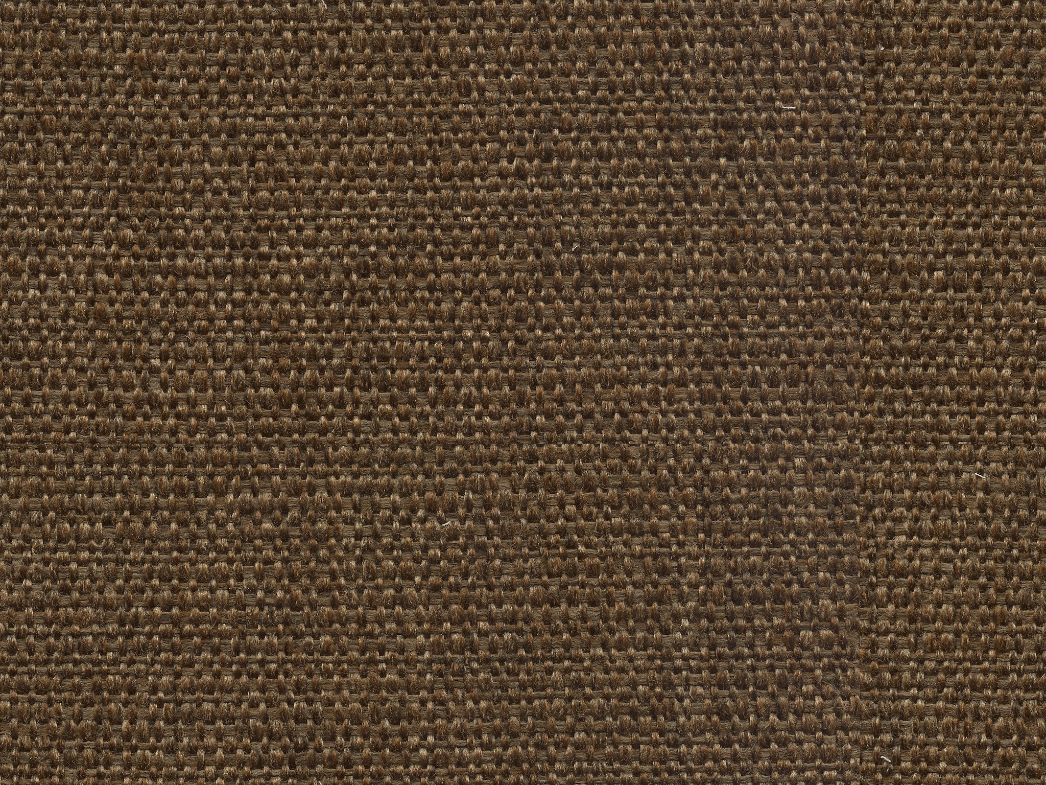 Bassett BARK             CUT&SEWN 