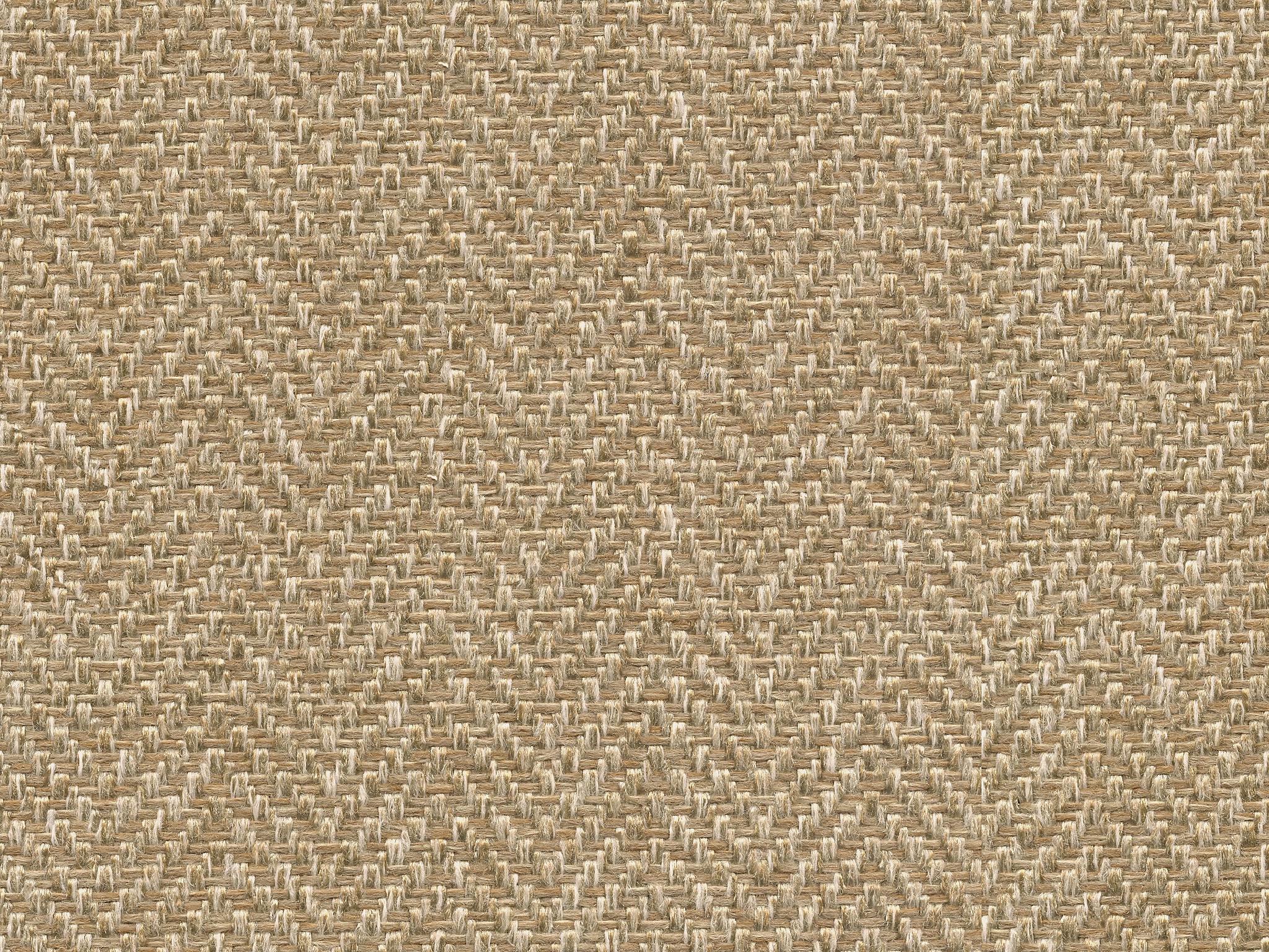 Bassett CHAMPAGNE        CUT&SEWN 