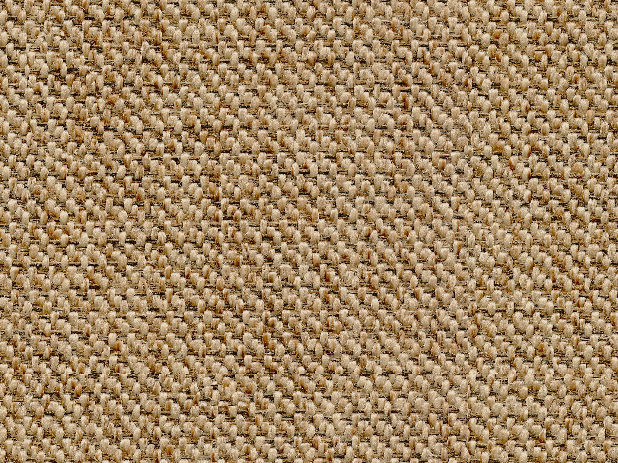 Bassett ALMOND           CUT&SEWN 