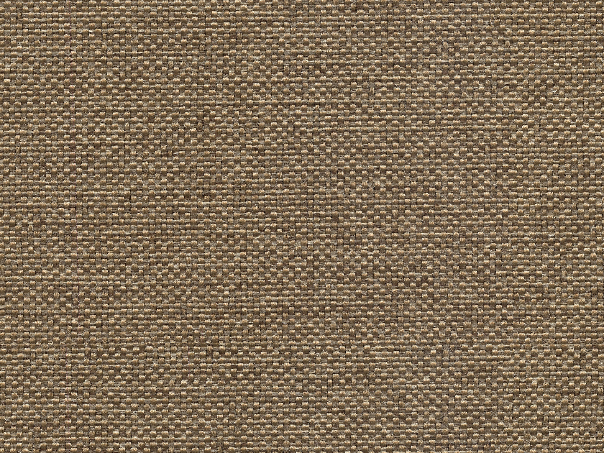 Bassett TOAST            CUT&SEWN 
