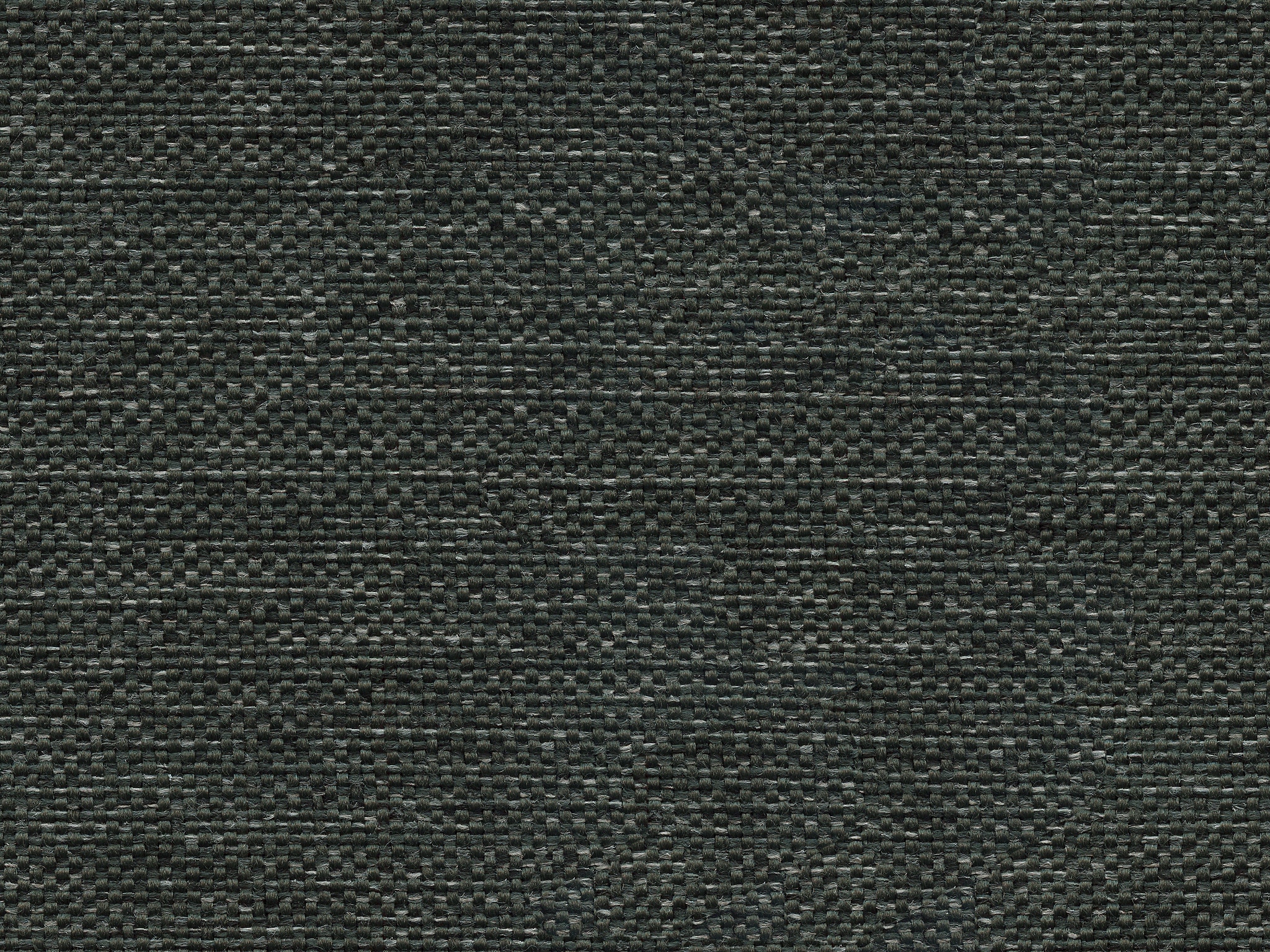 Bassett RAVEN            CUT&SEWN 
