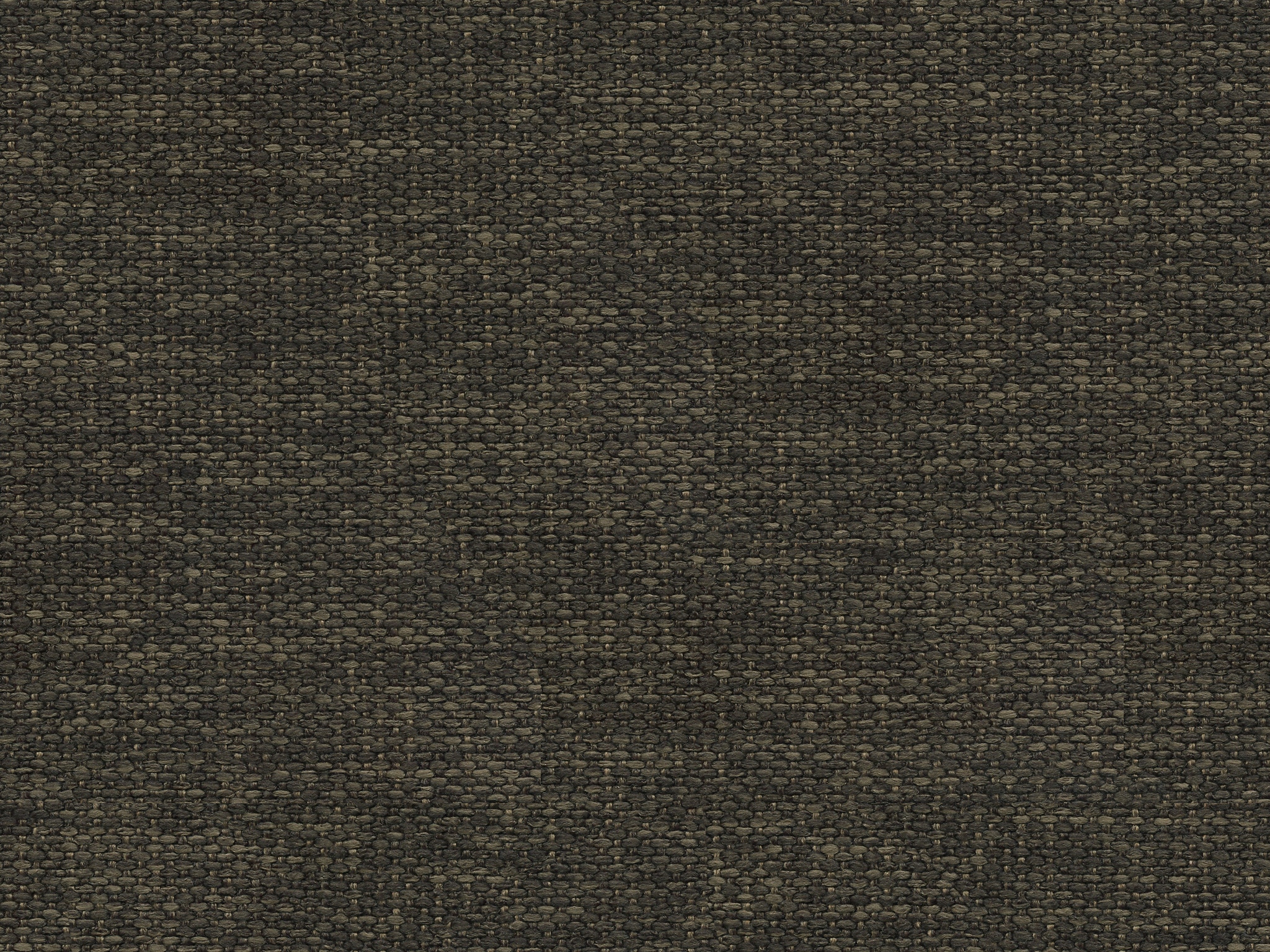 Bassett GRAPHITE 