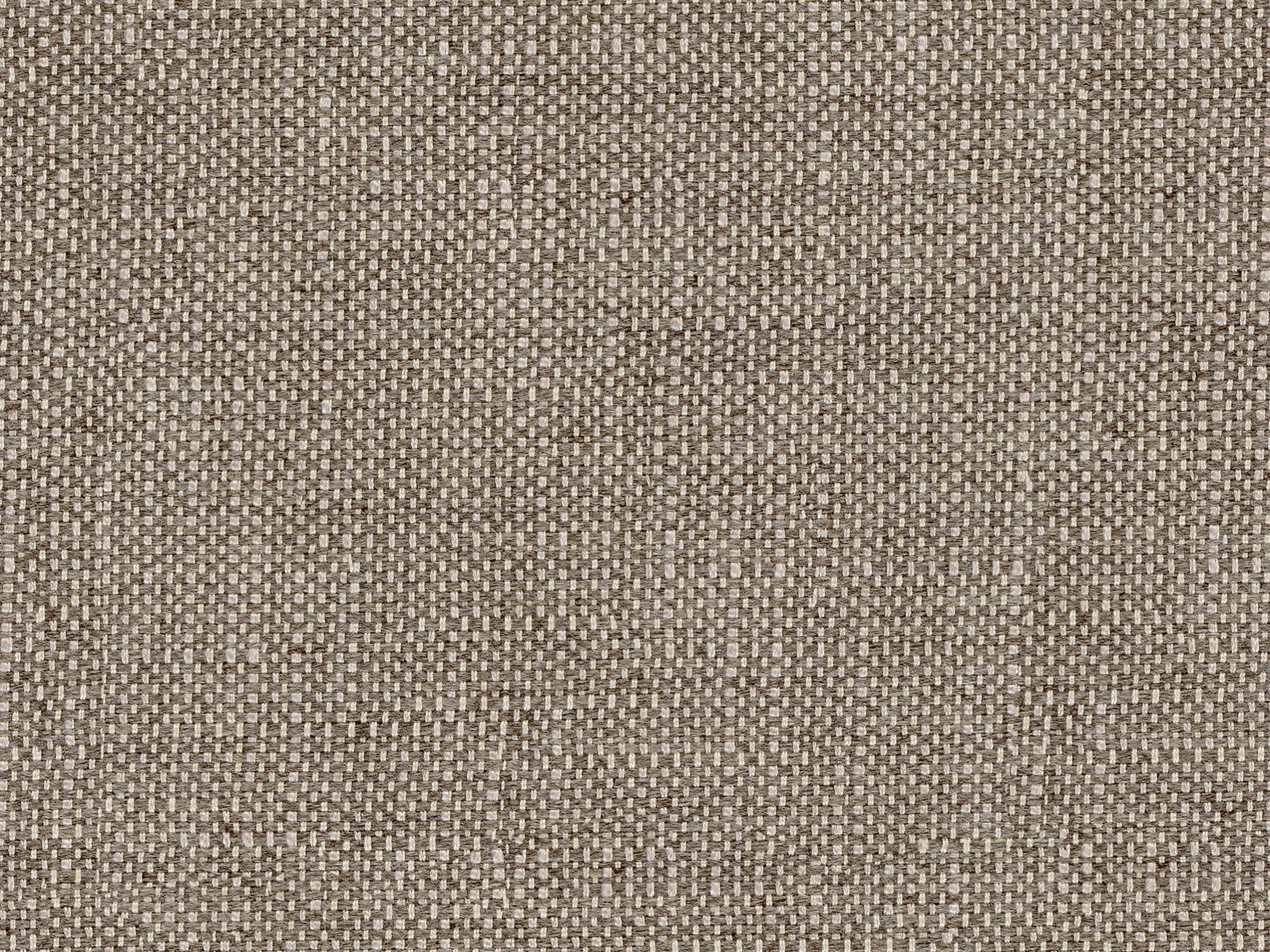 Bassett MUSHROOM  PERFOMANCE TEXTURE 