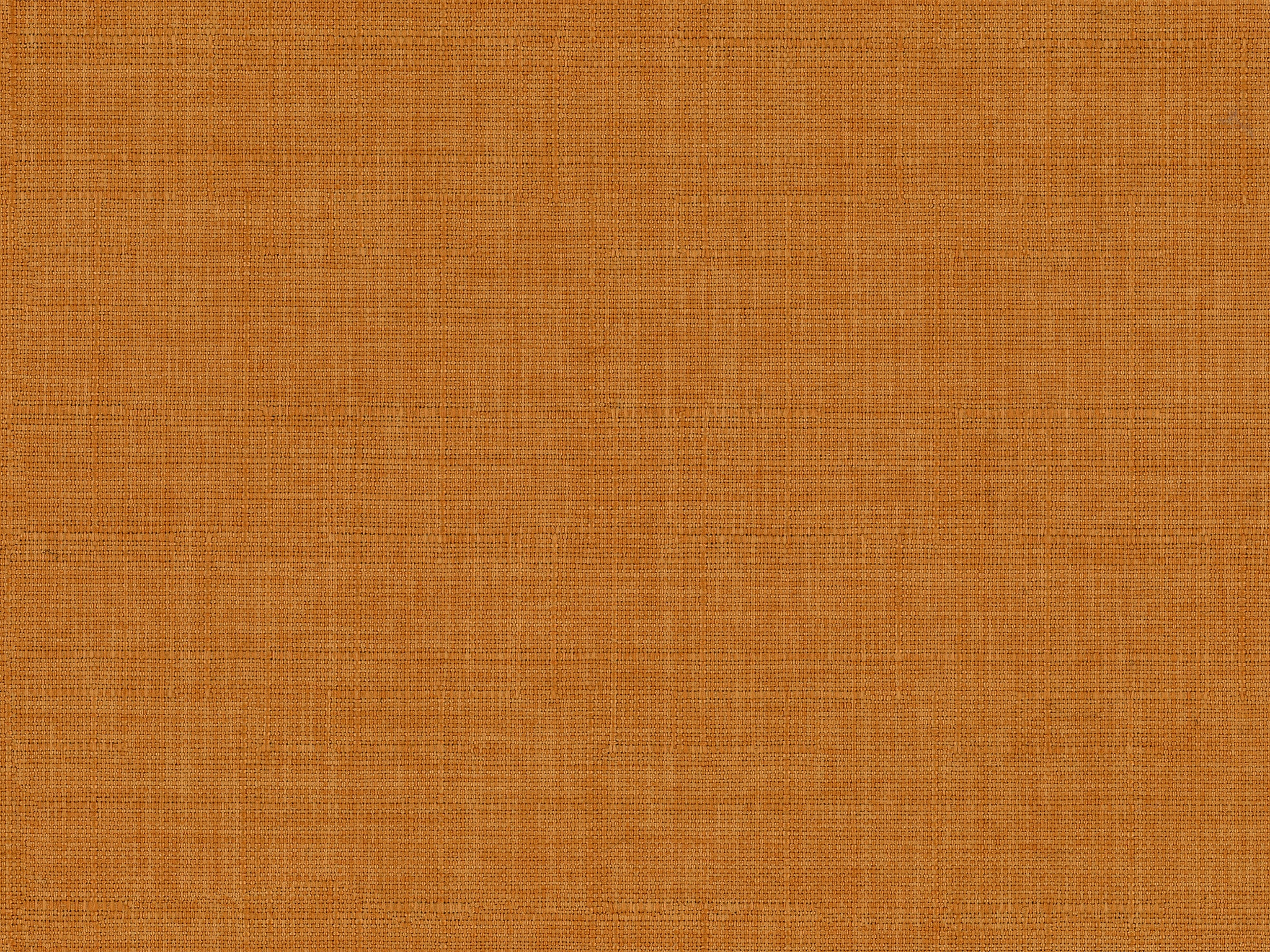 Bassett Bennett Apricot 