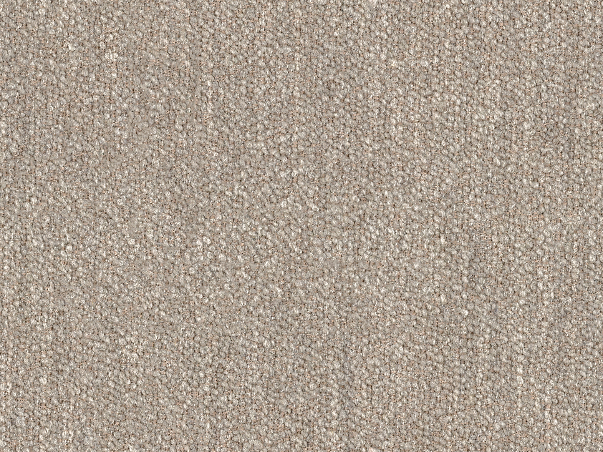 Bassett Performance Riverton Dove 