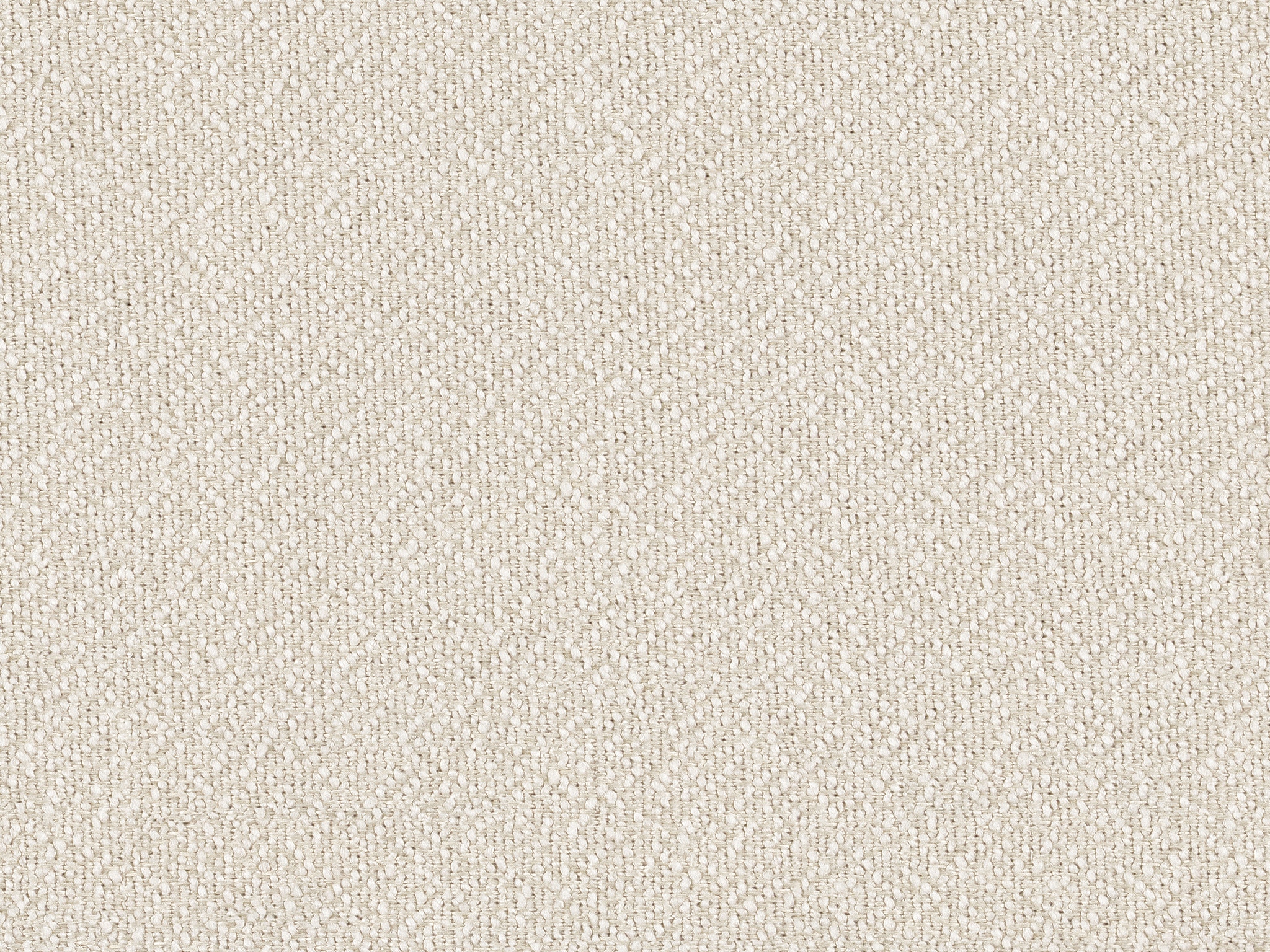 Powell Oyster 1591-1