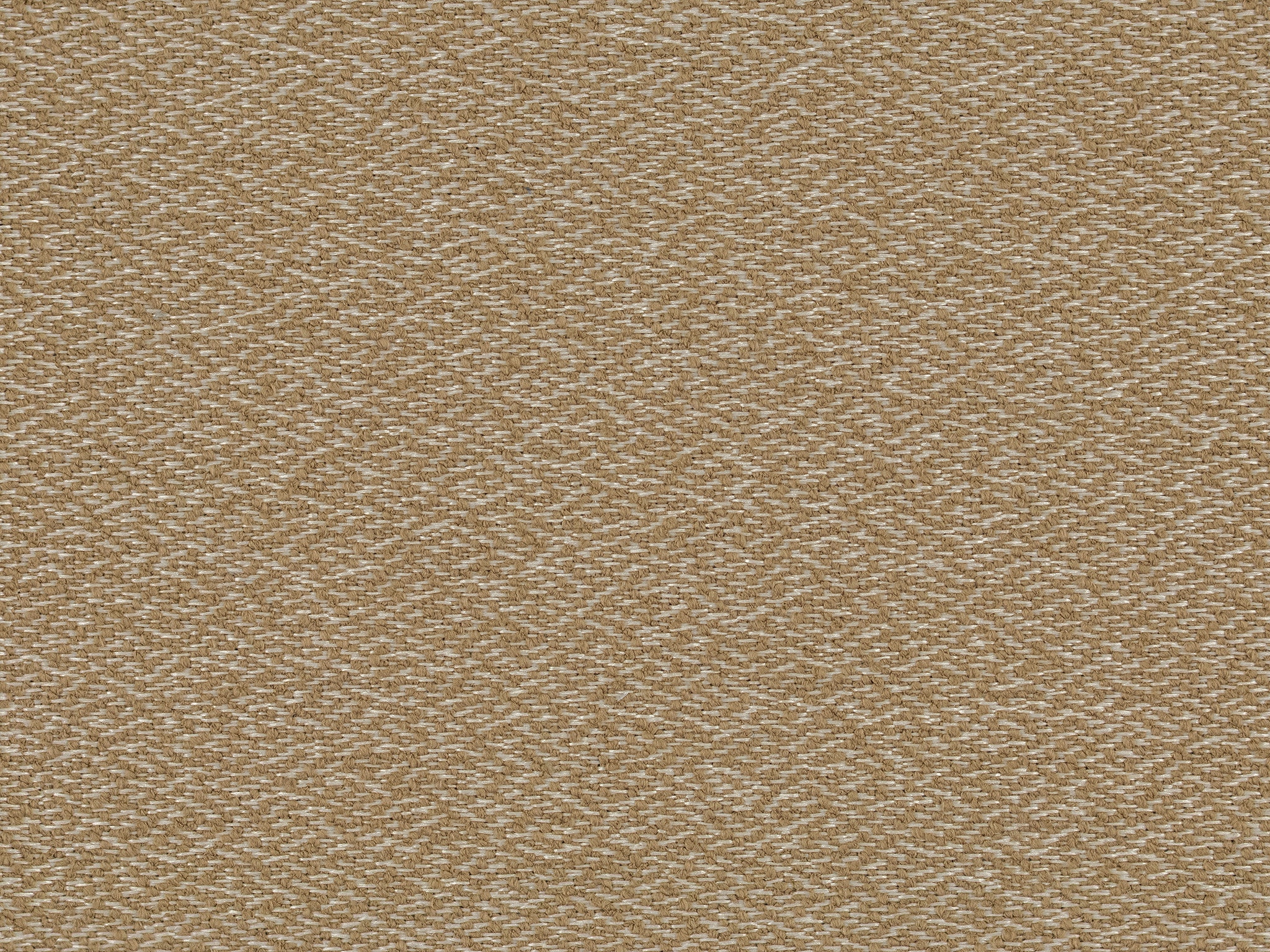 Bassett Powell Camel 