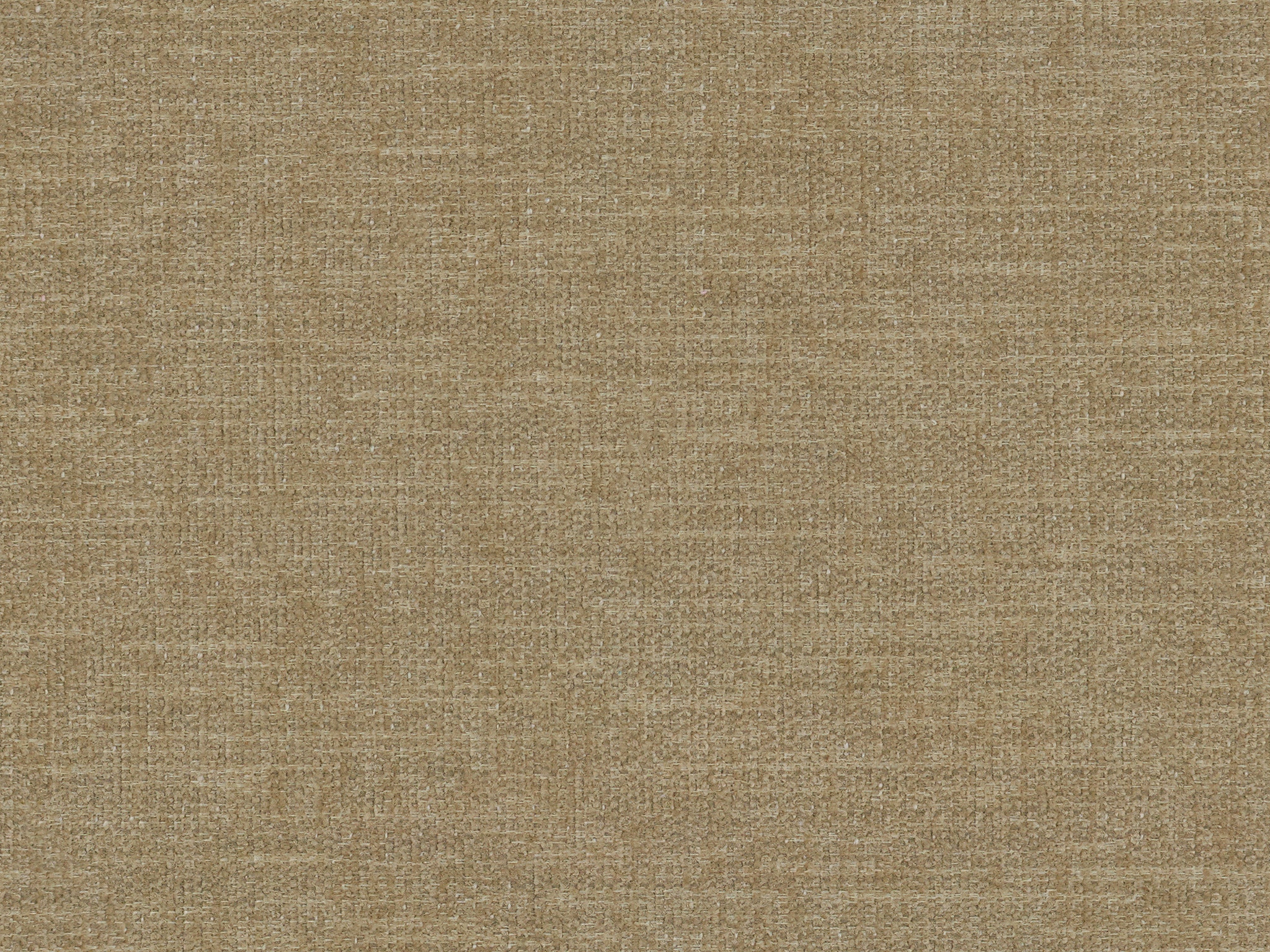 Bassett Infinity Camel 