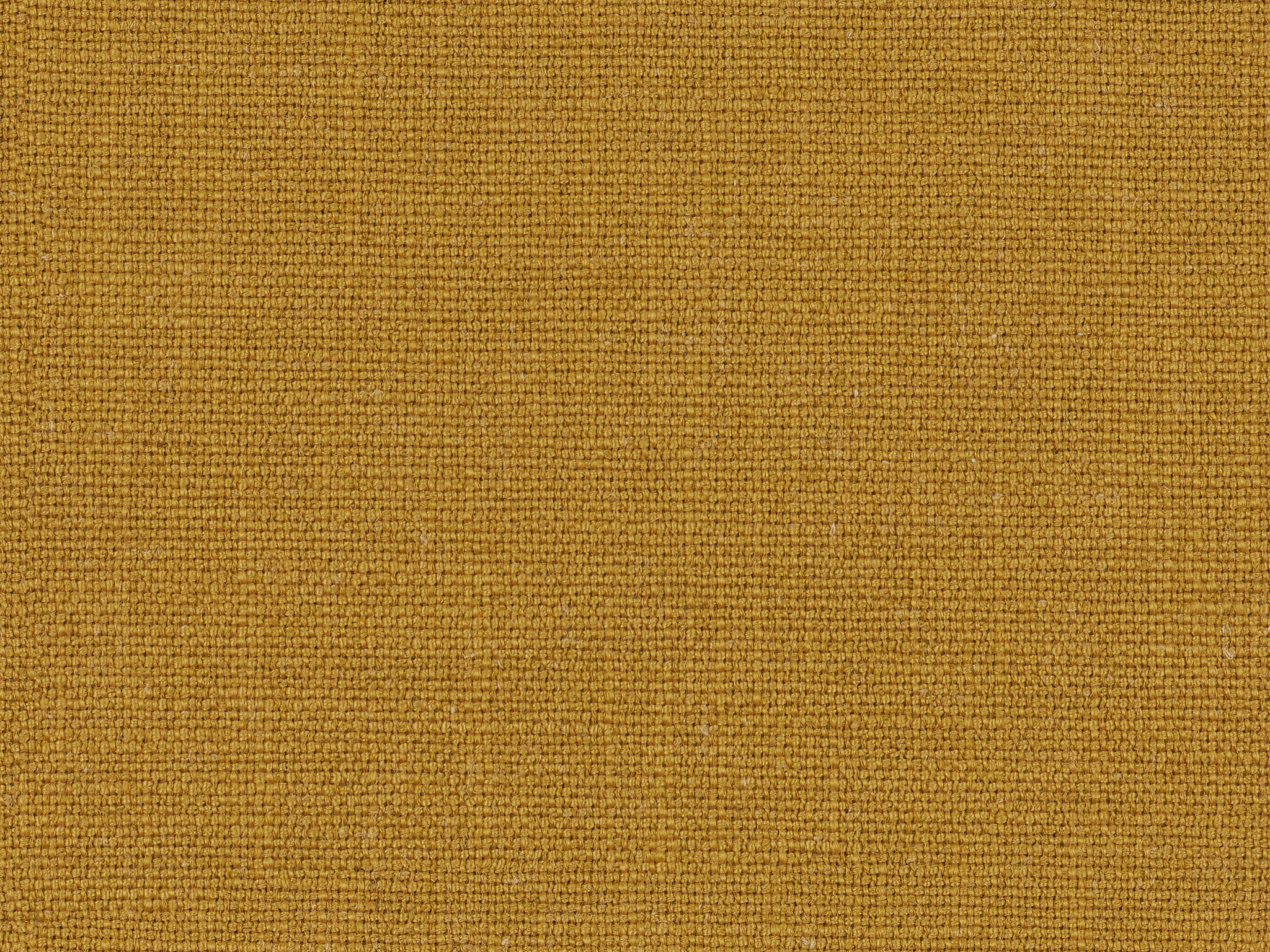 Bassett PHOENIX CAMEL 