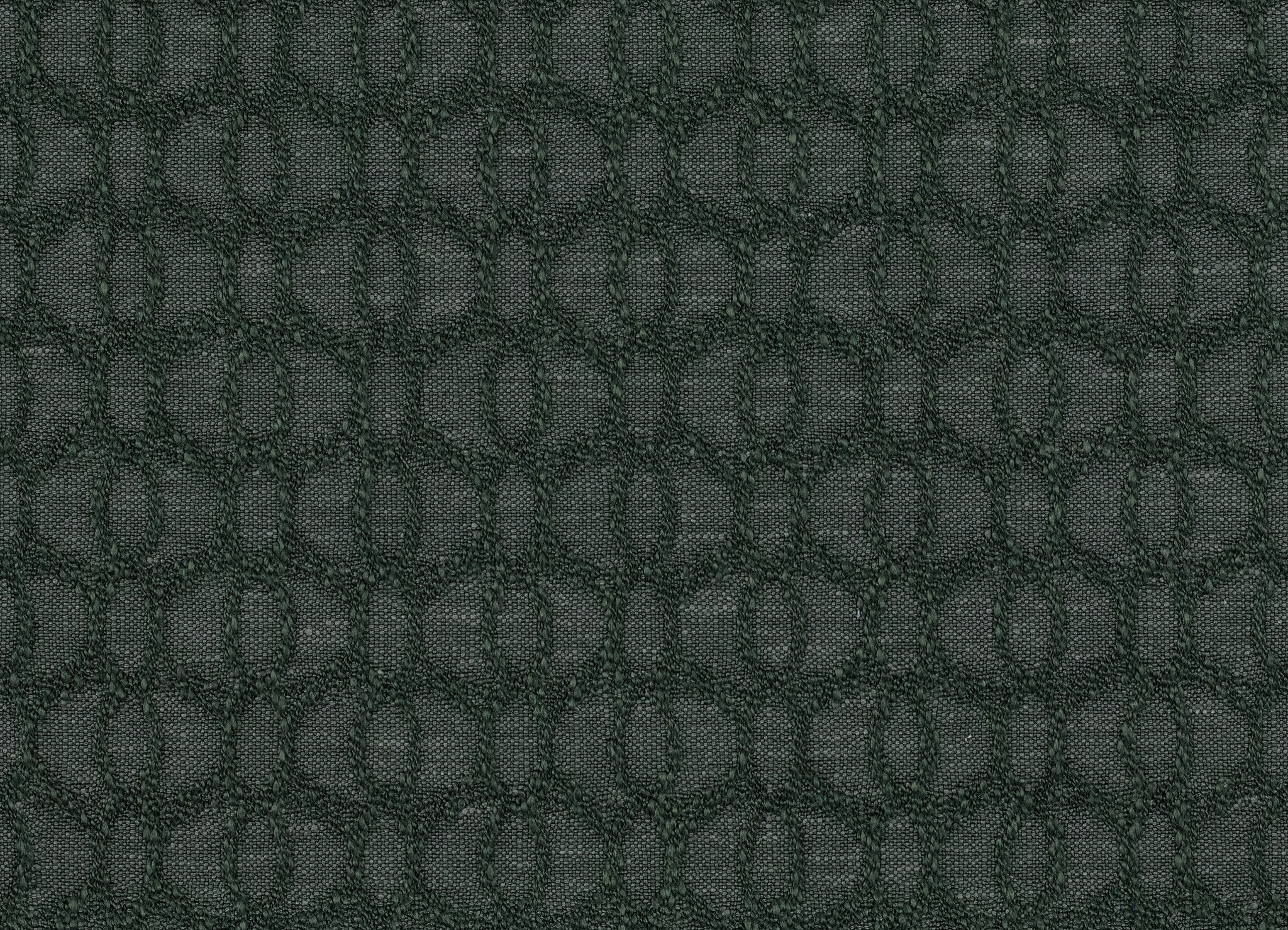 Bassett Tacoma Spruce 