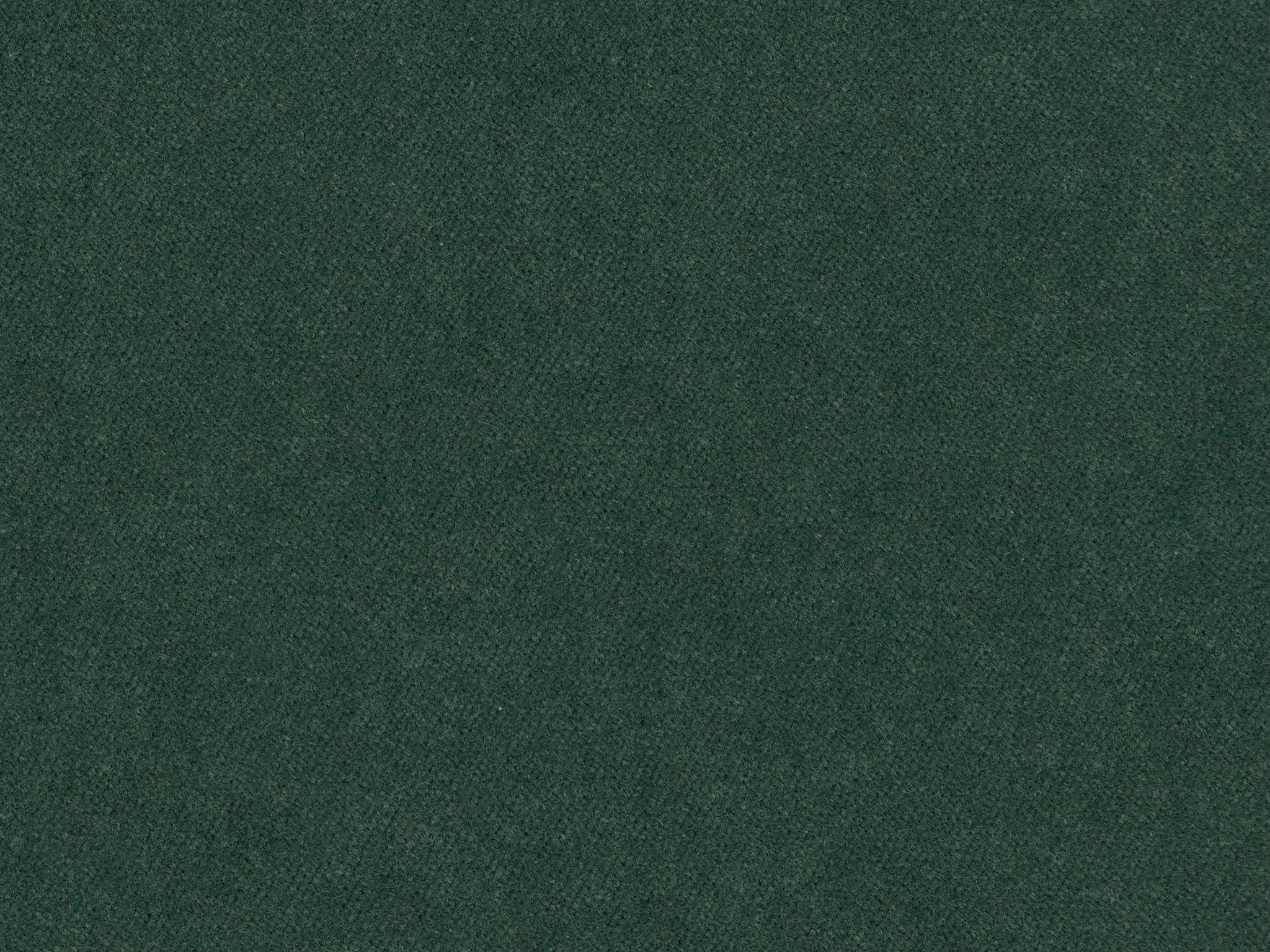 Bassett Jade 