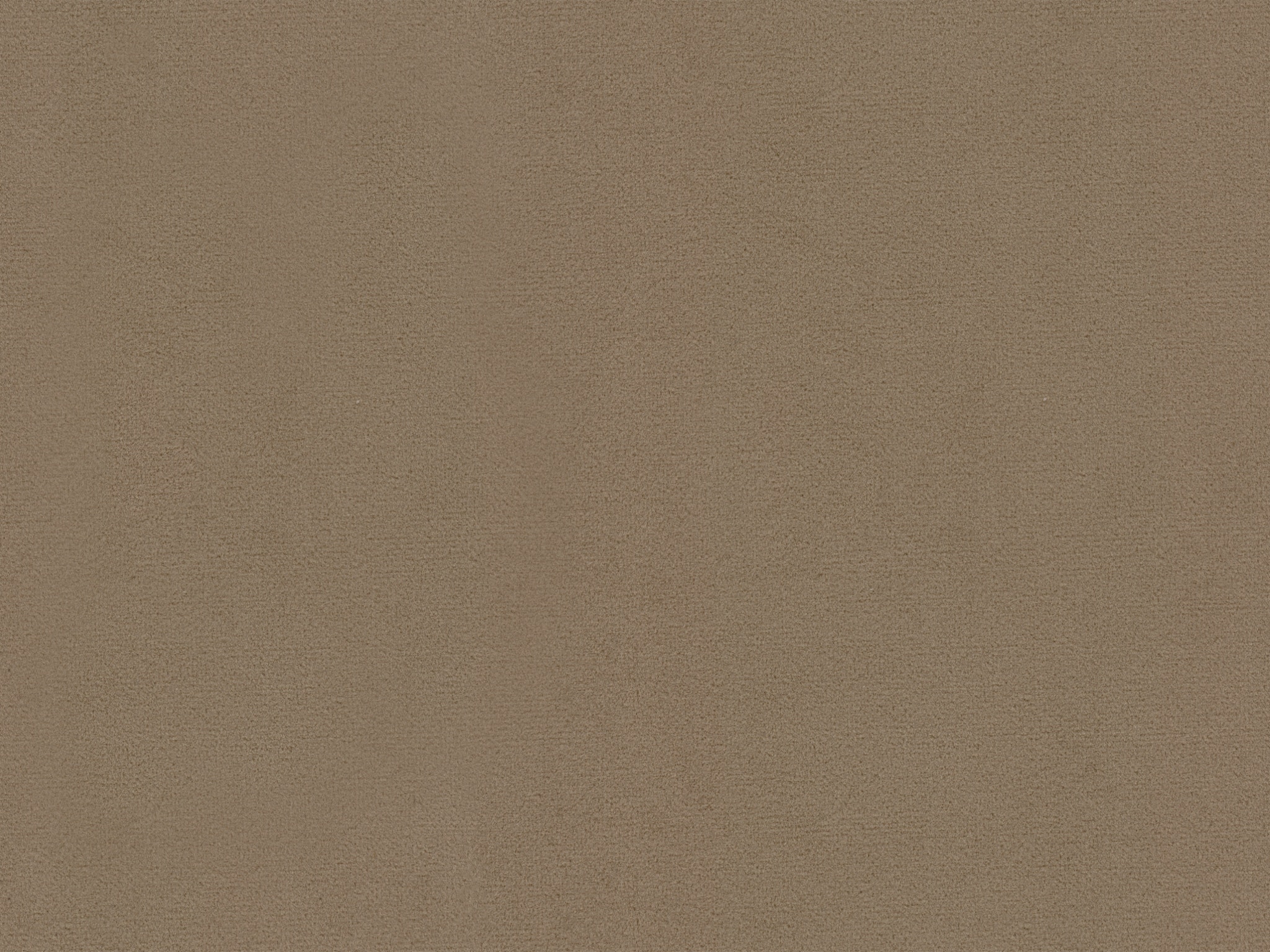 Bassett Performance Kent Camel 