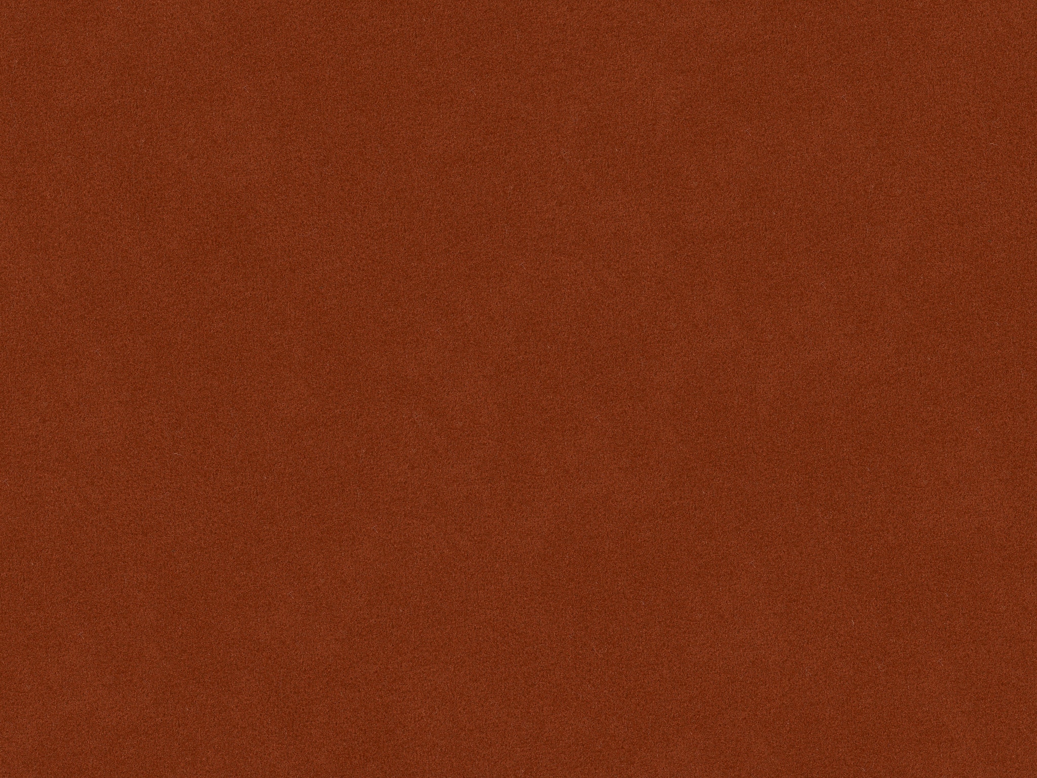 Bassett Performance Kent Spice 