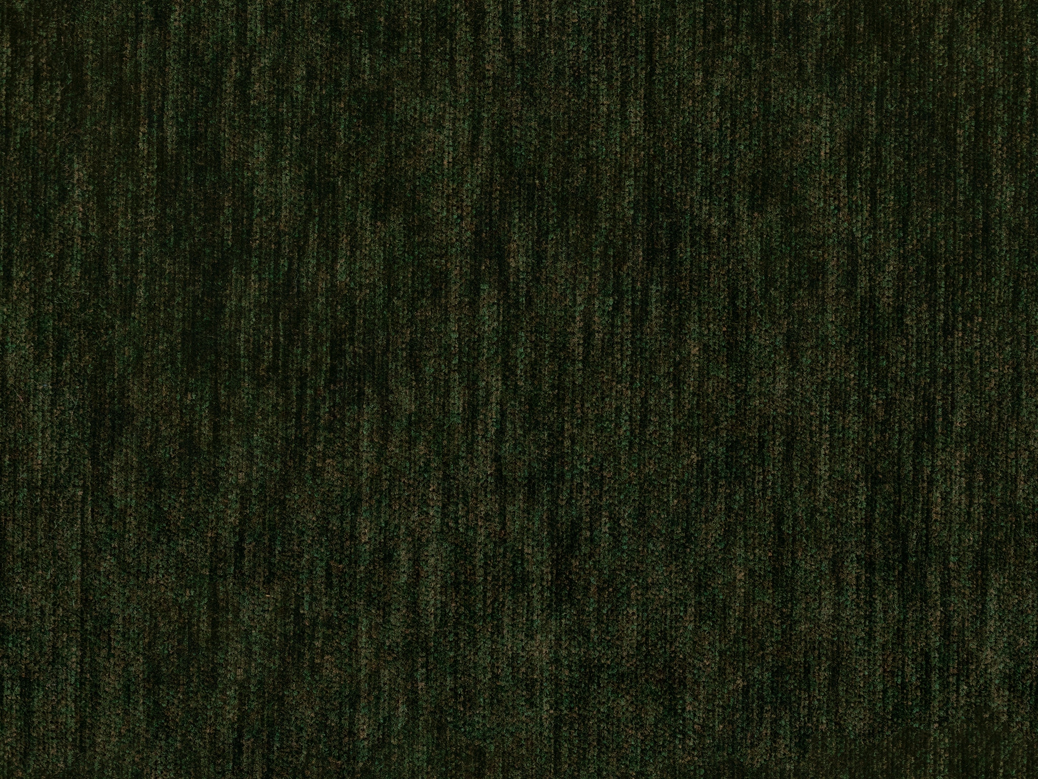 Bassett Berea Fern 