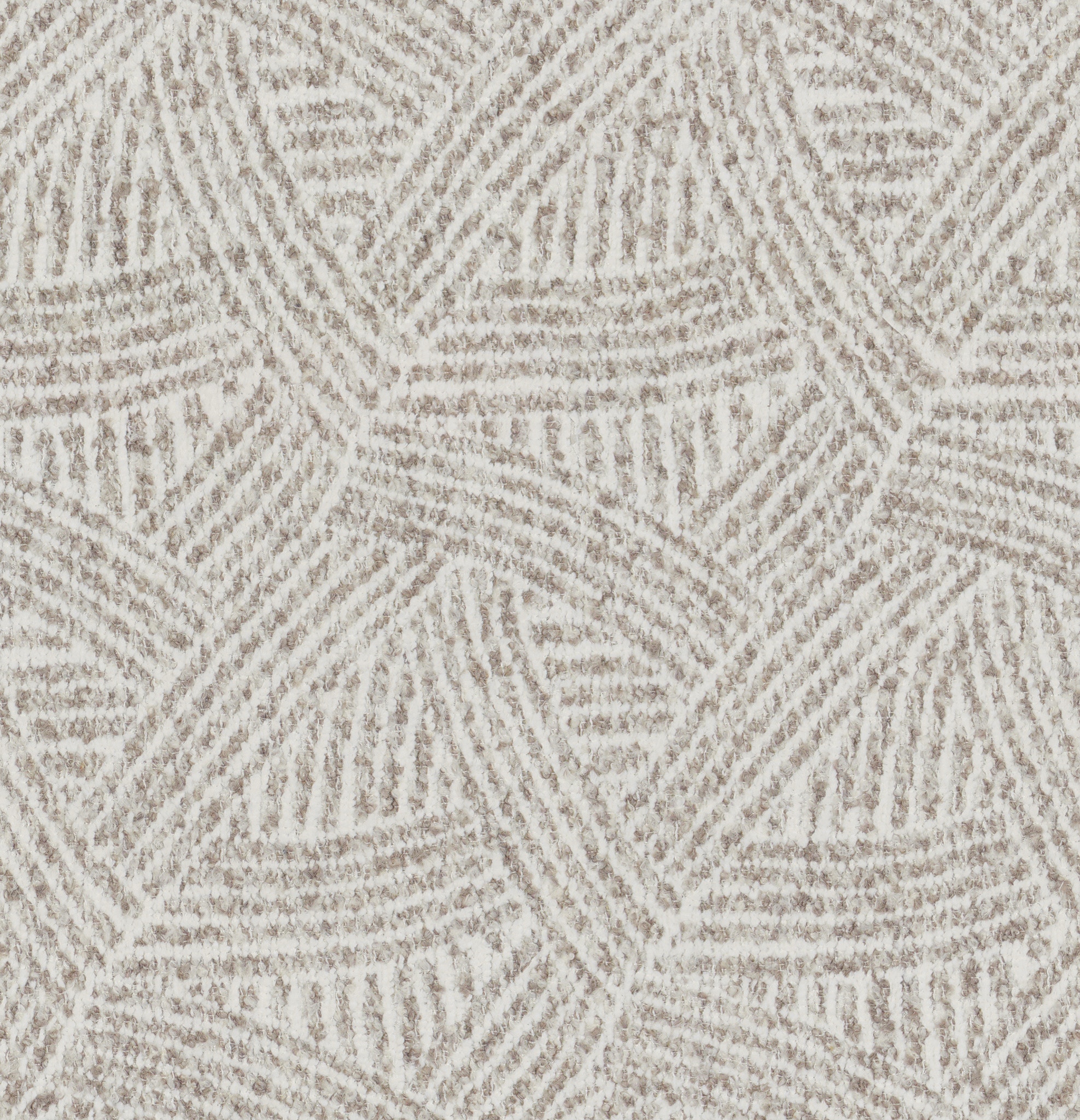 Bassett Borrego Feather 