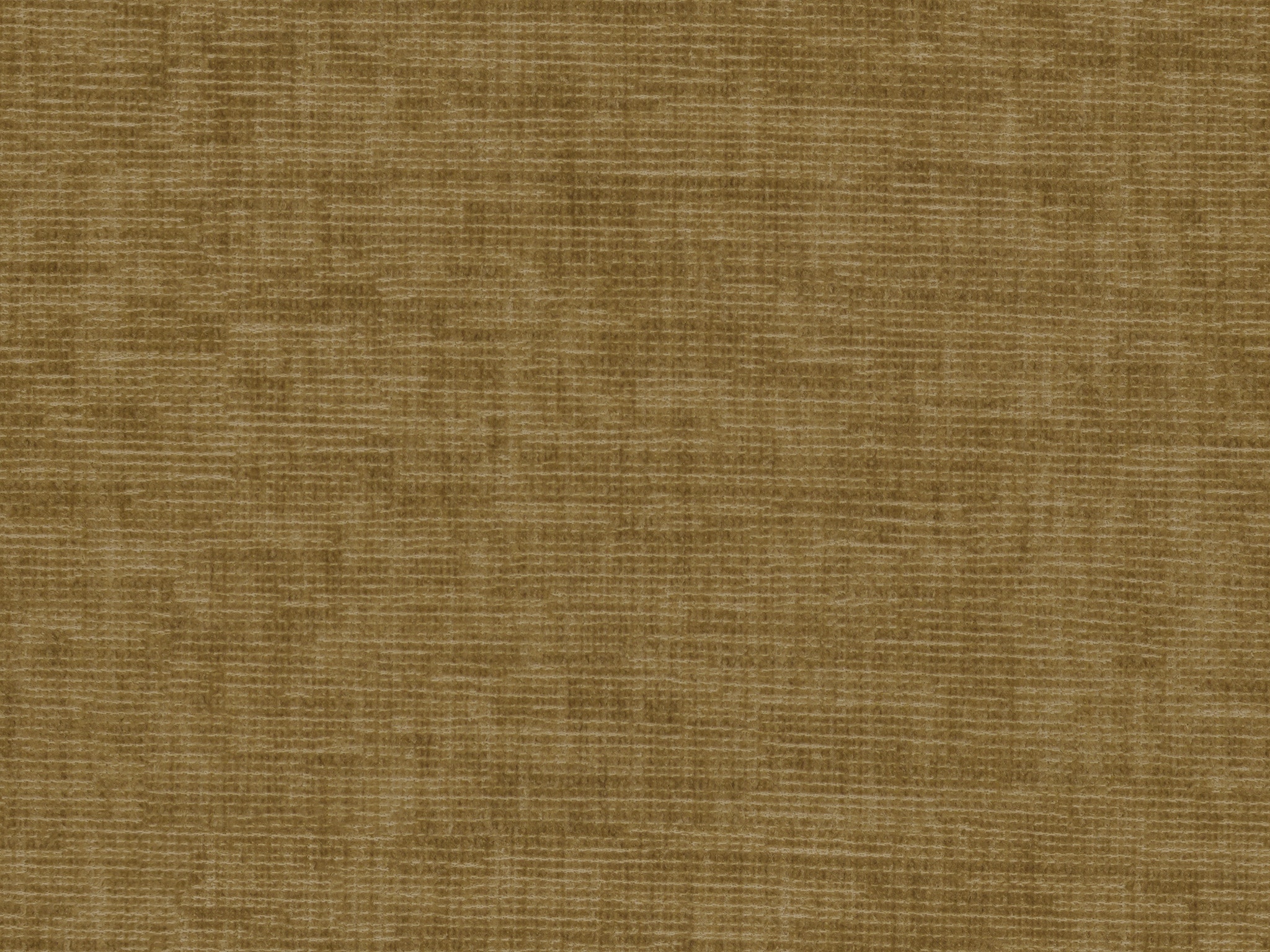 Bassett Pitt Camel 