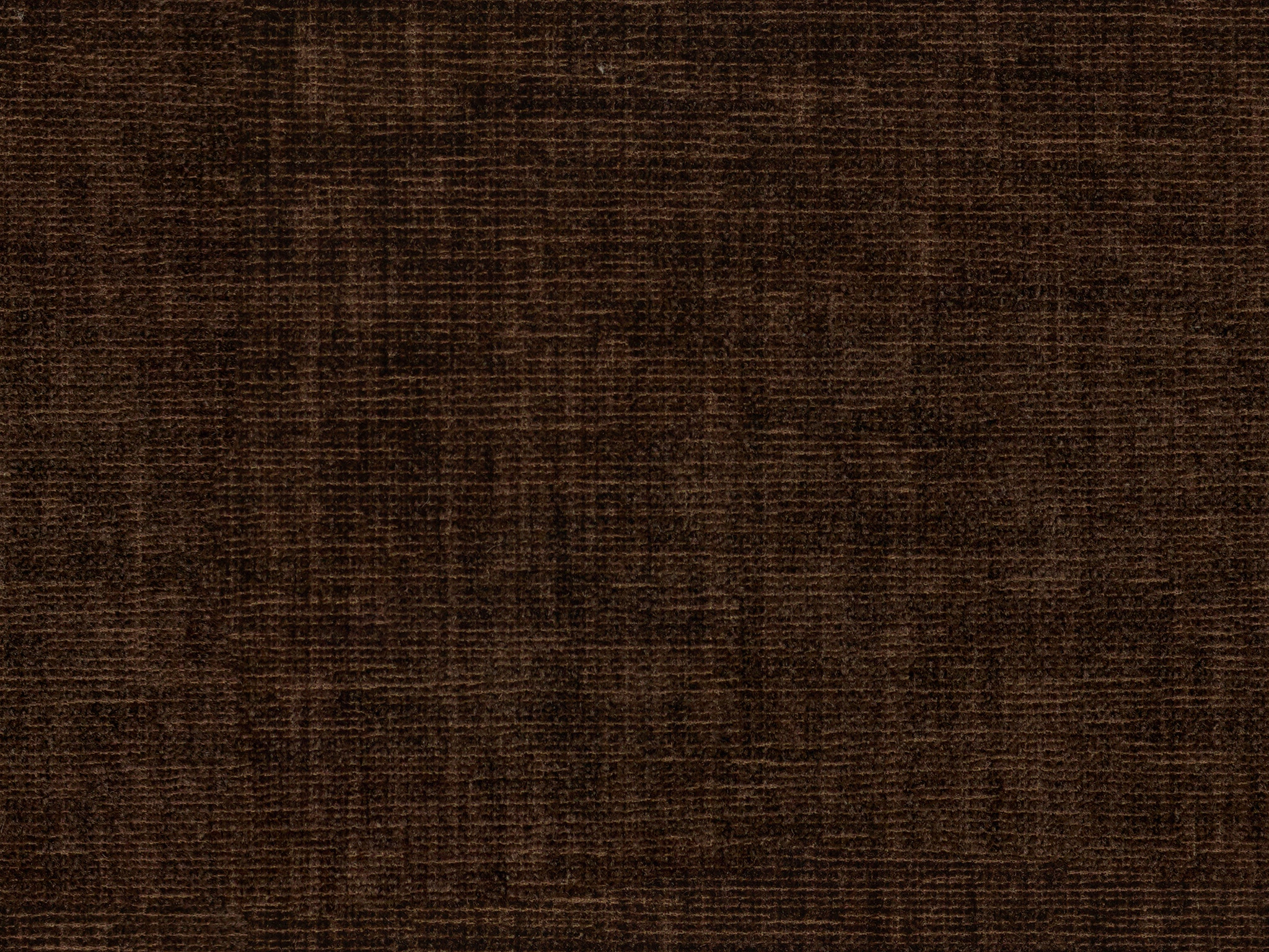 Bassett Pitt Chocolate 