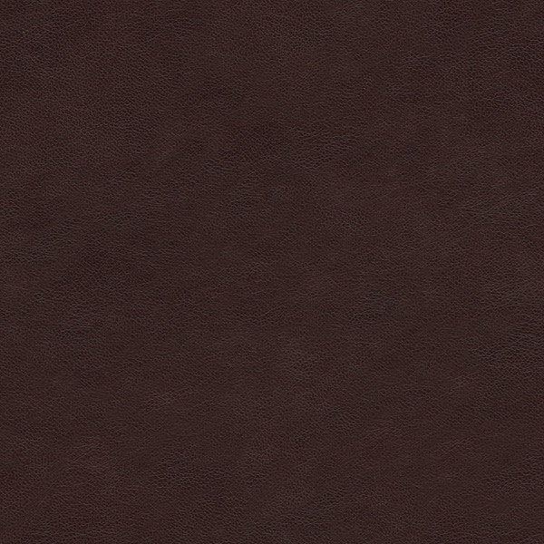 Bassett SABLE 