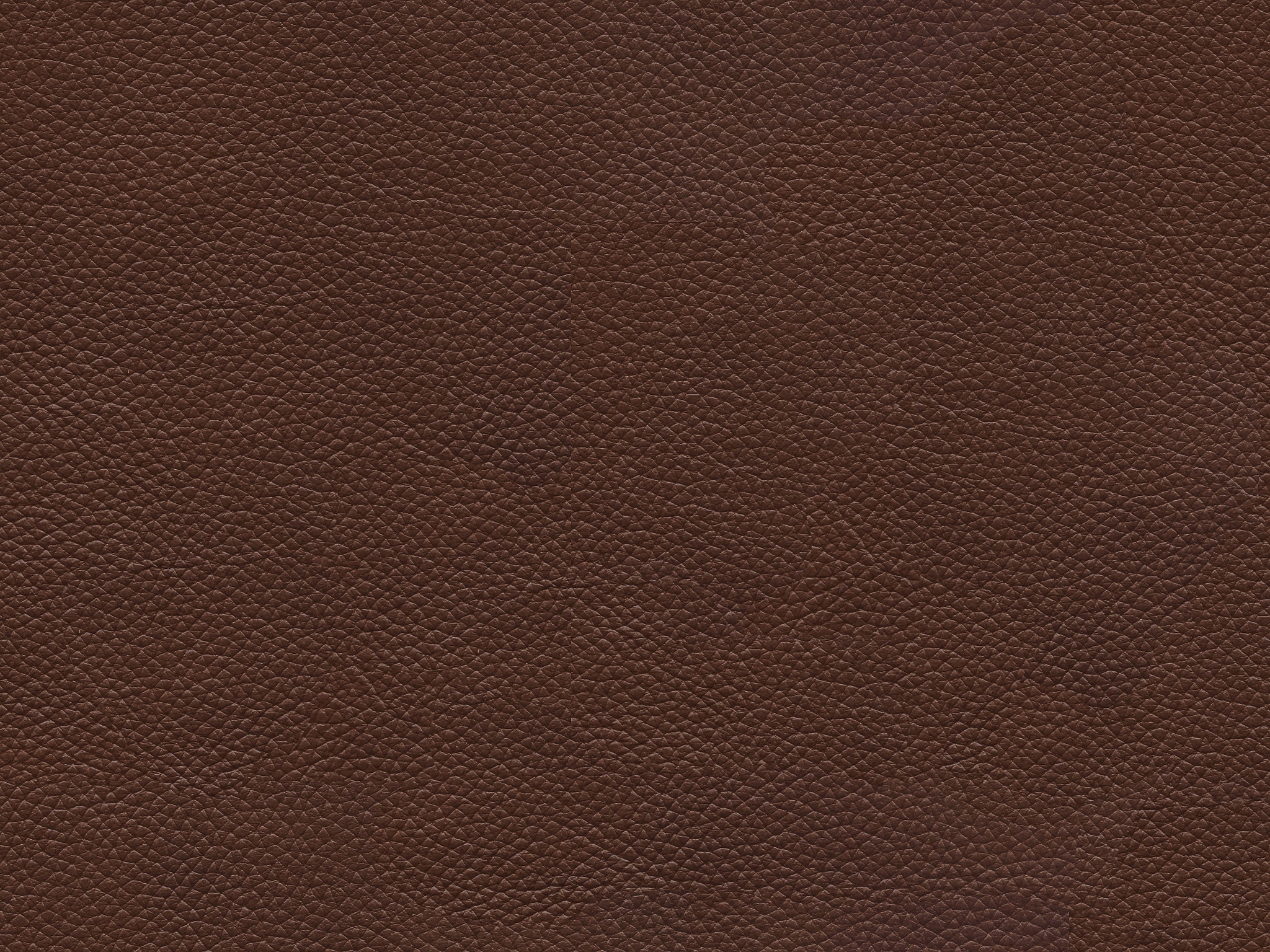 Bassett CHOCOLATE 