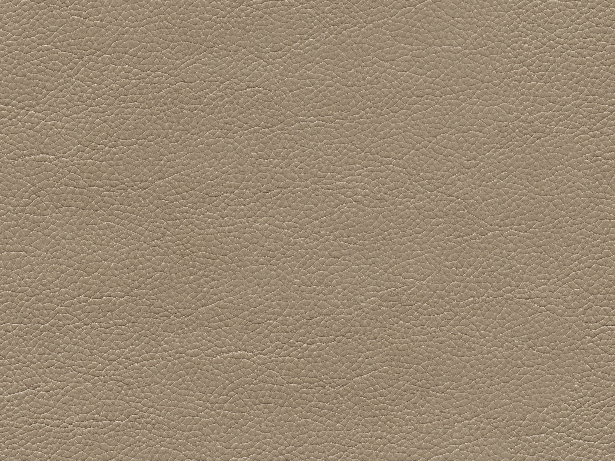 Bassett GRAY TAUPE 