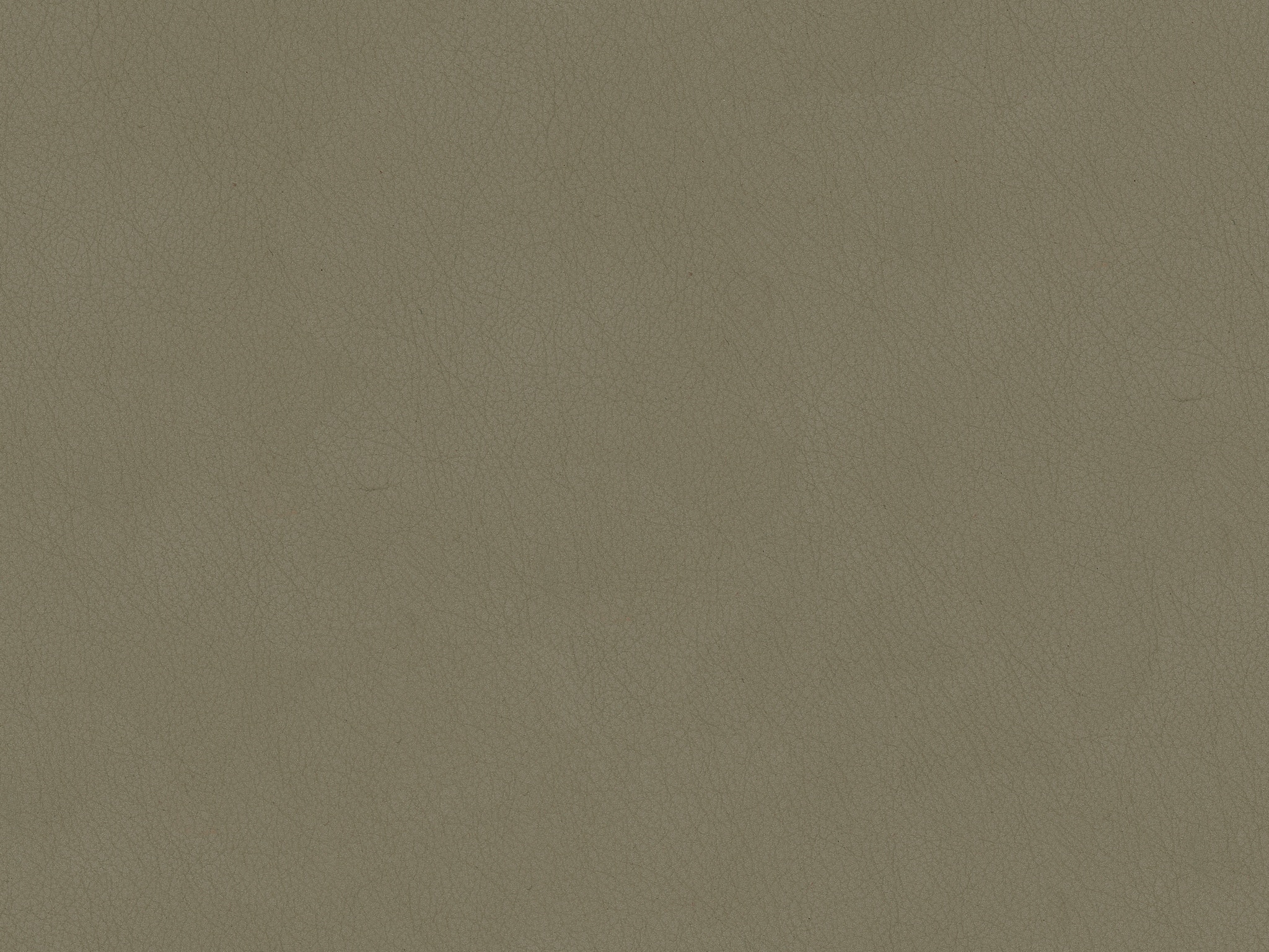 TAUPE 7227-38
