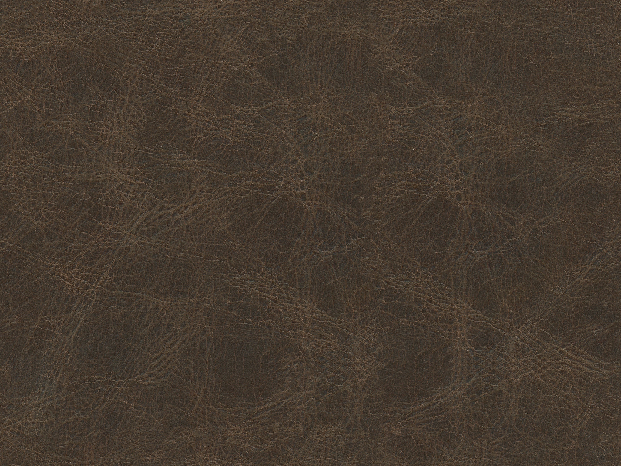 COCOA 7228-18