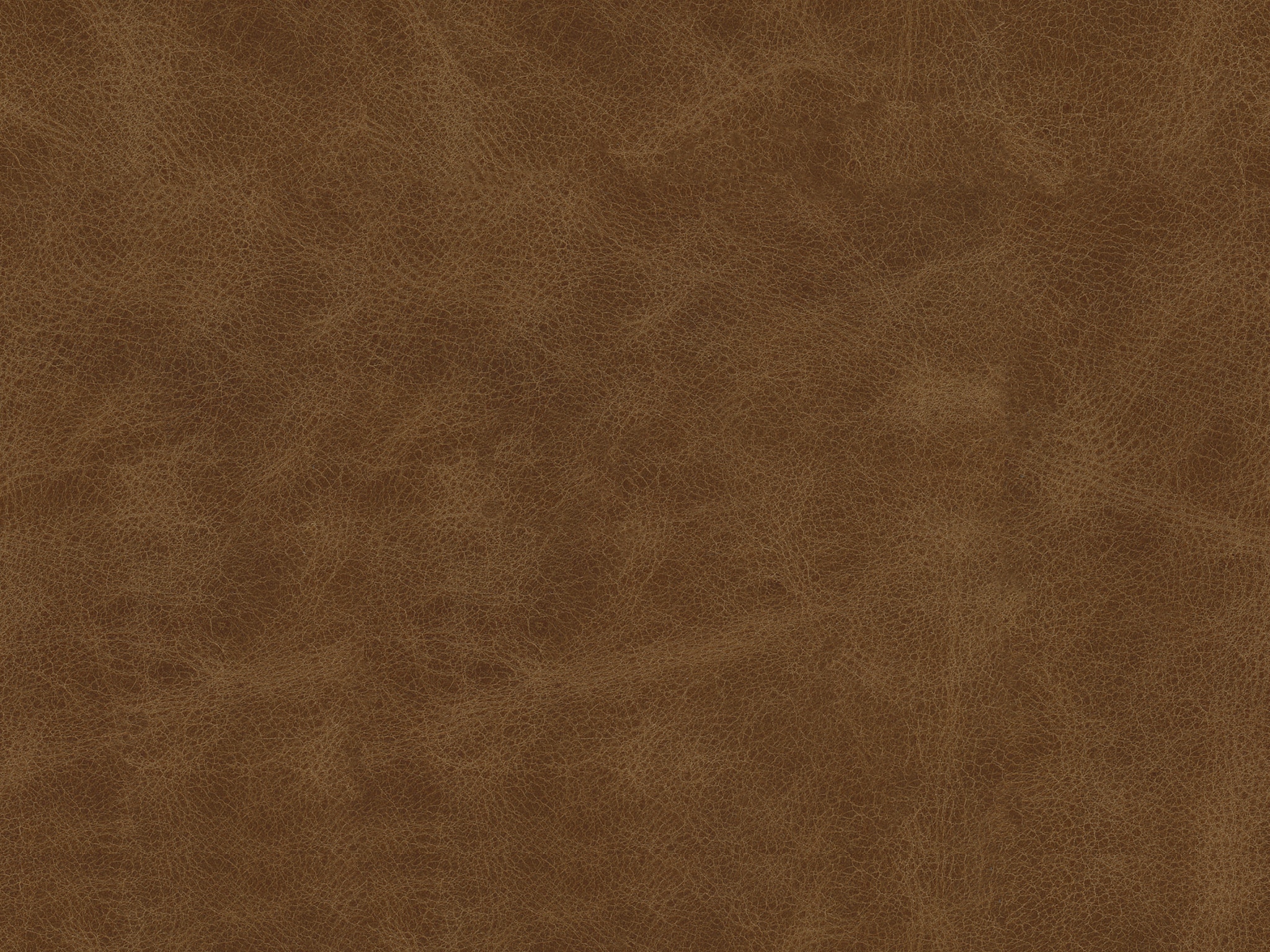 Bassett WALNUT 