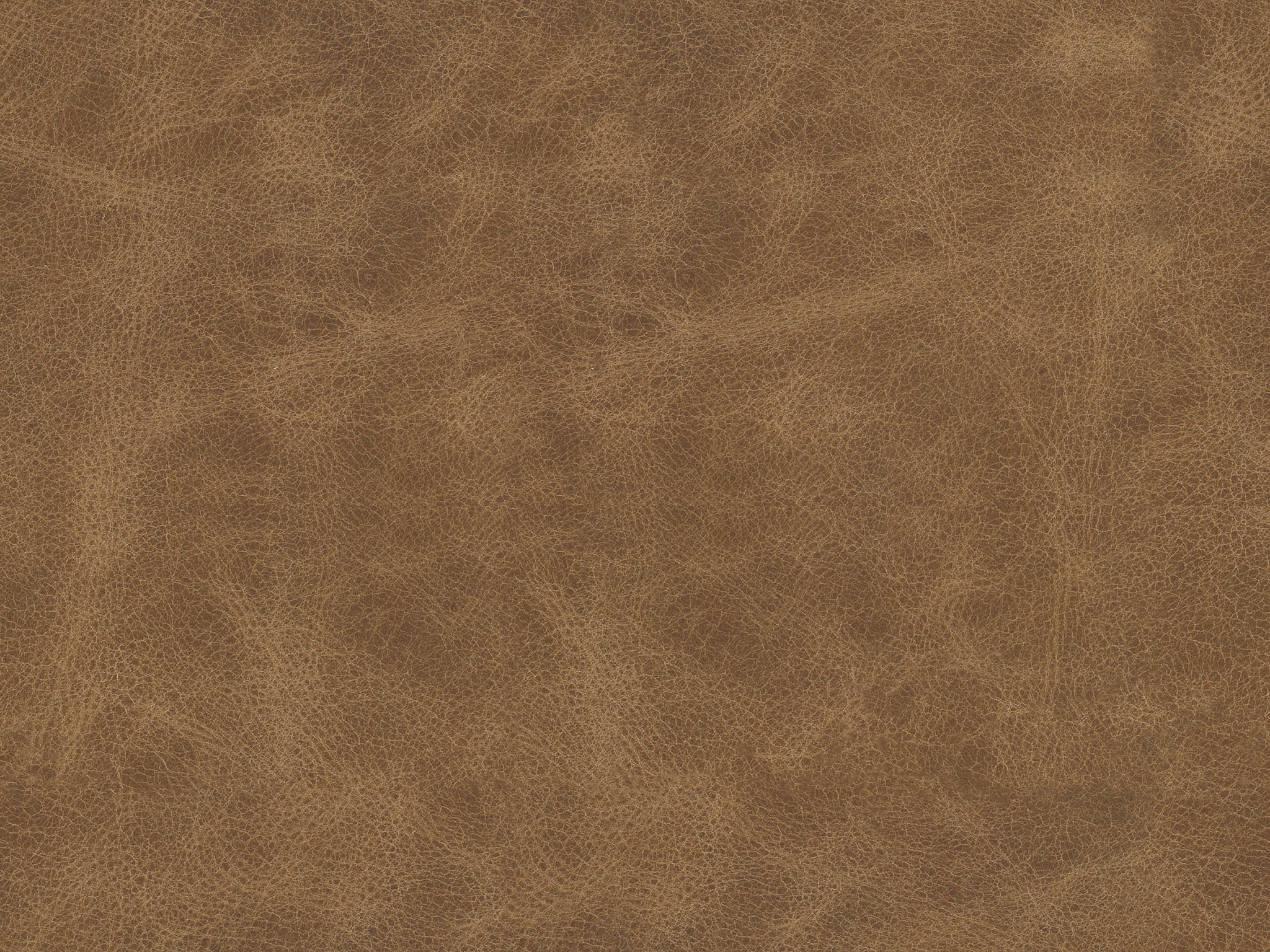 COGNAC 7228-6