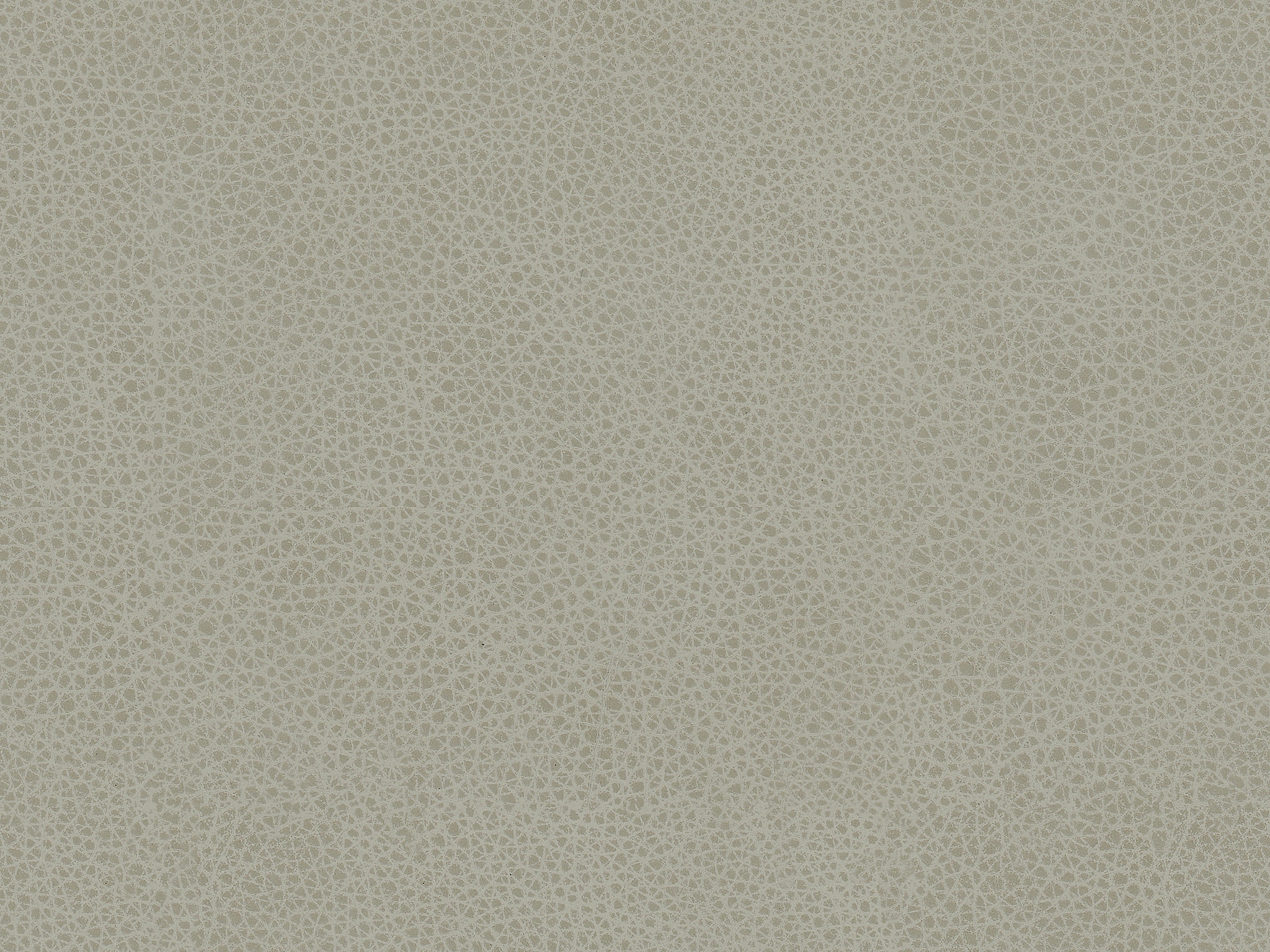 Dove Gray DOVE GREY 7229-19
