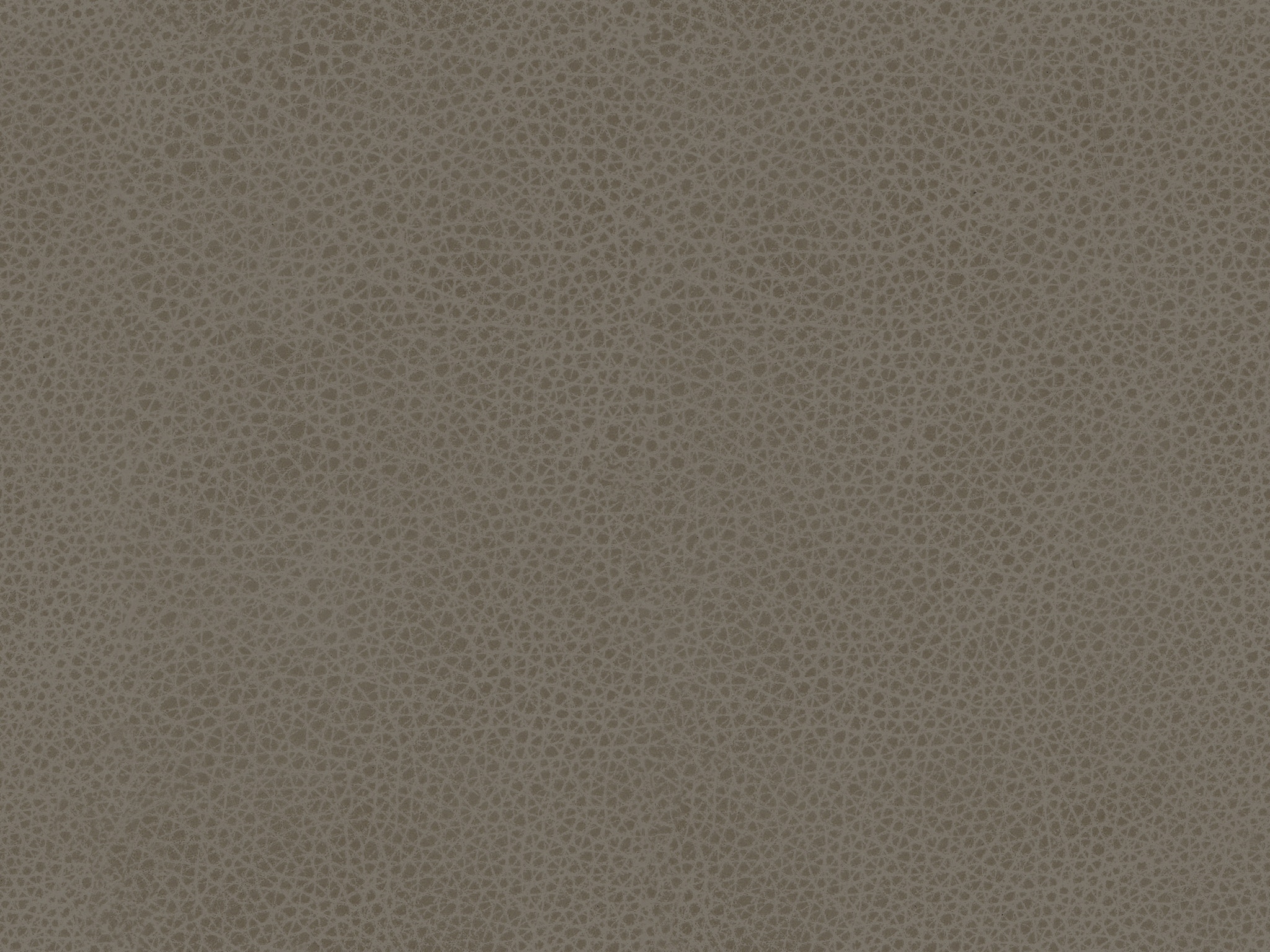 MUSHROOM 7229-2